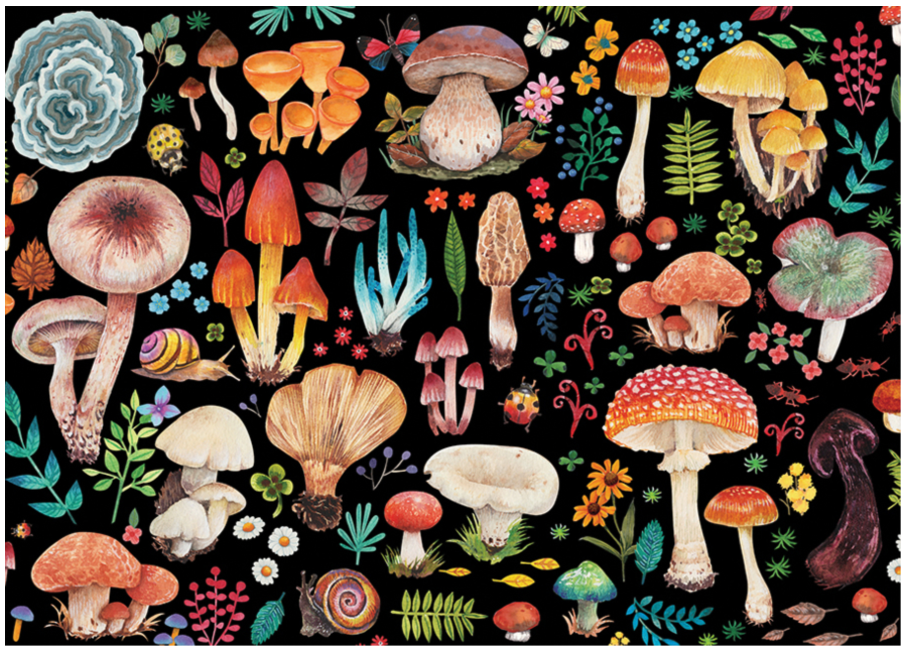 Mushrooms 1000-Piece Jigsaw Puzzle