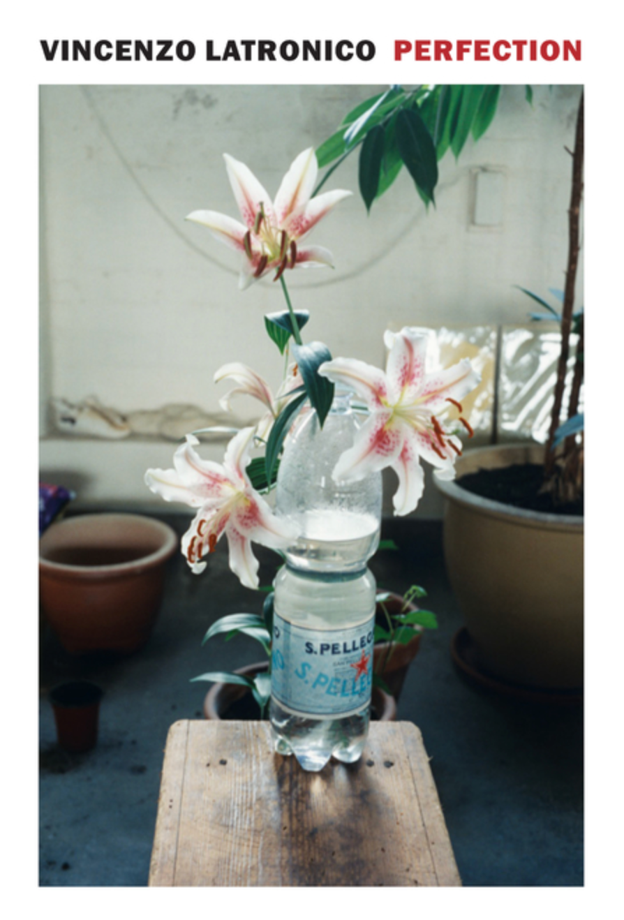 Perfection by Vincenzo Latronico