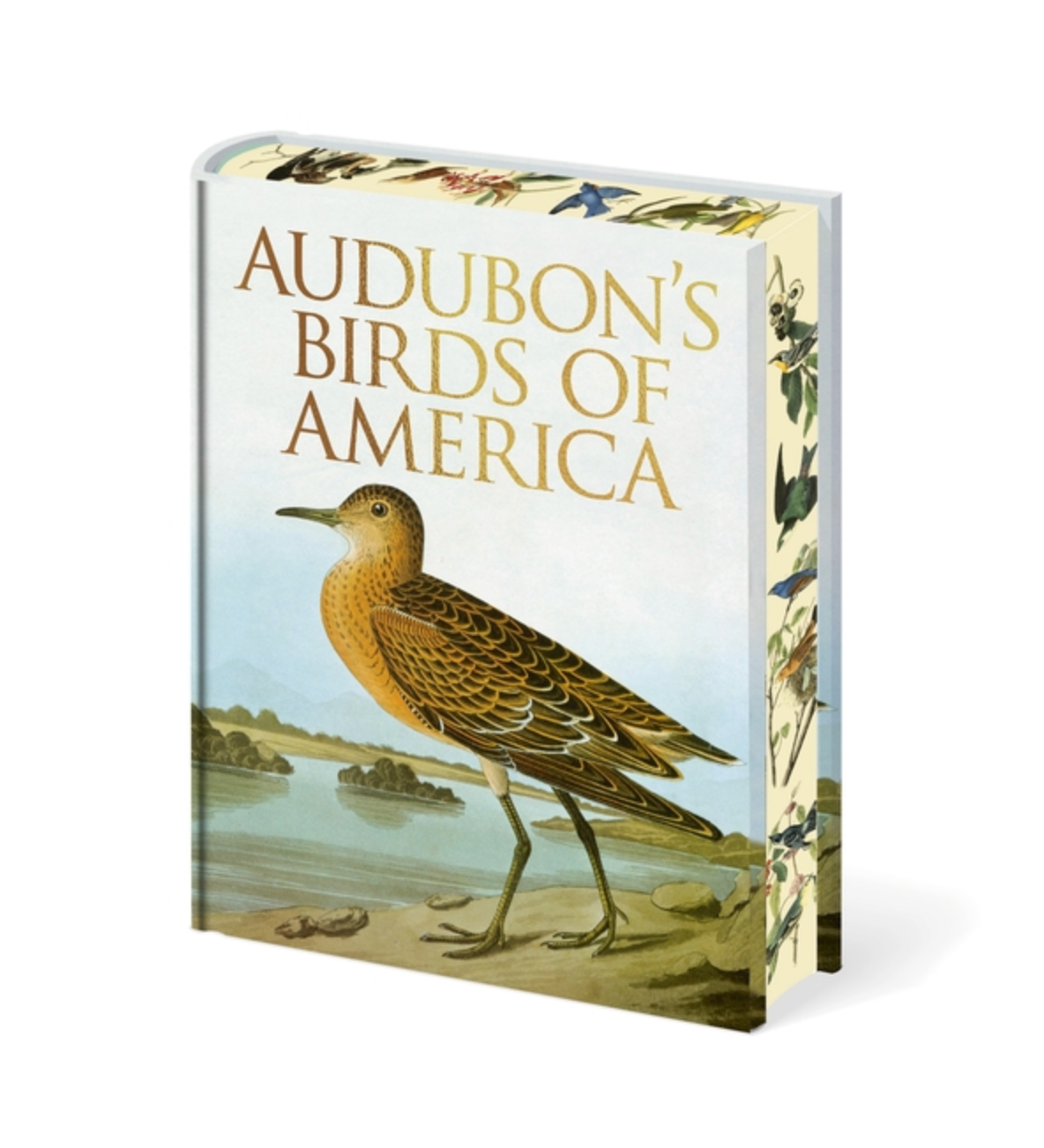 Audubon's Birds of America