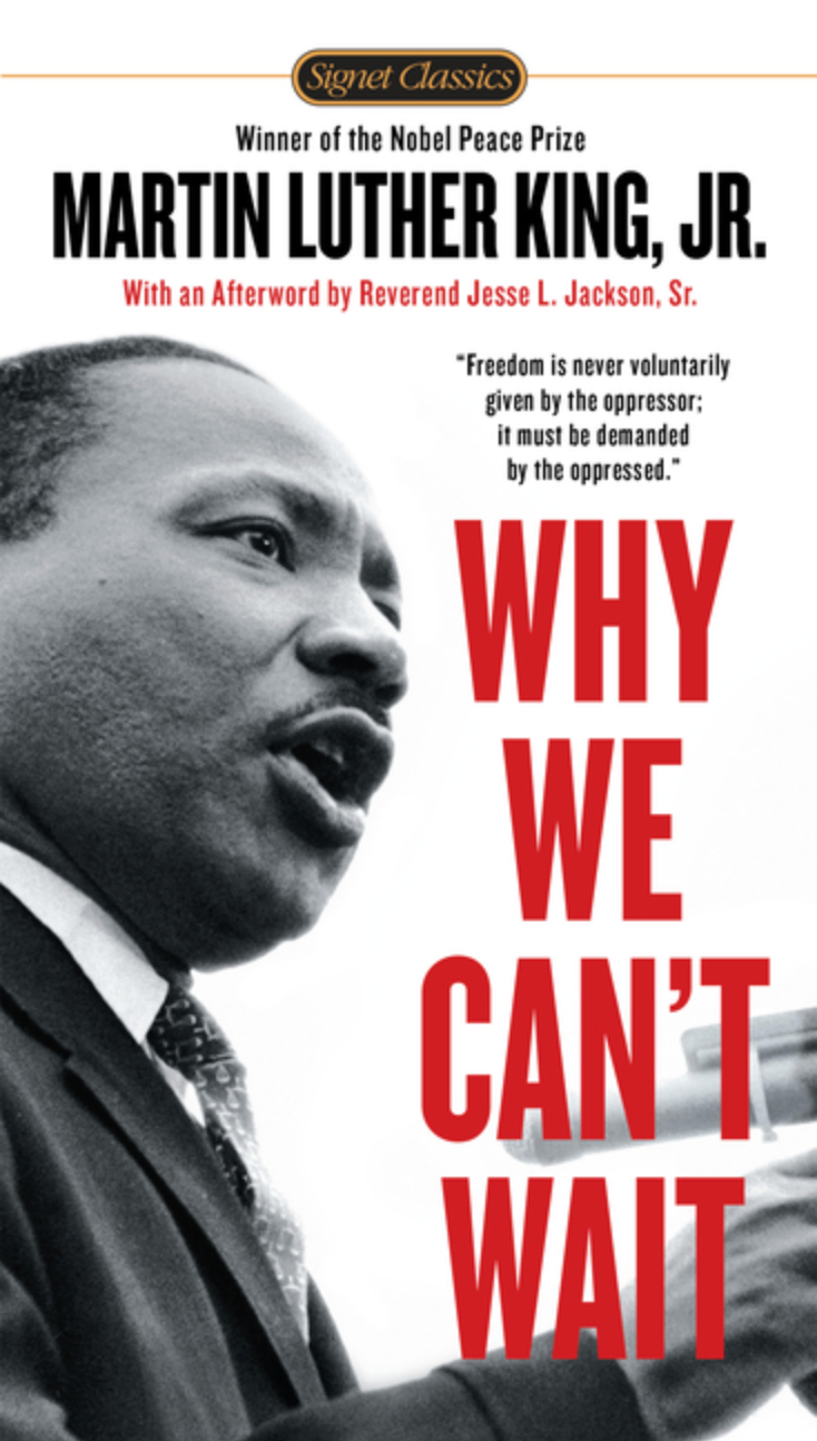 Why We Can't Wait by Martin Luther King