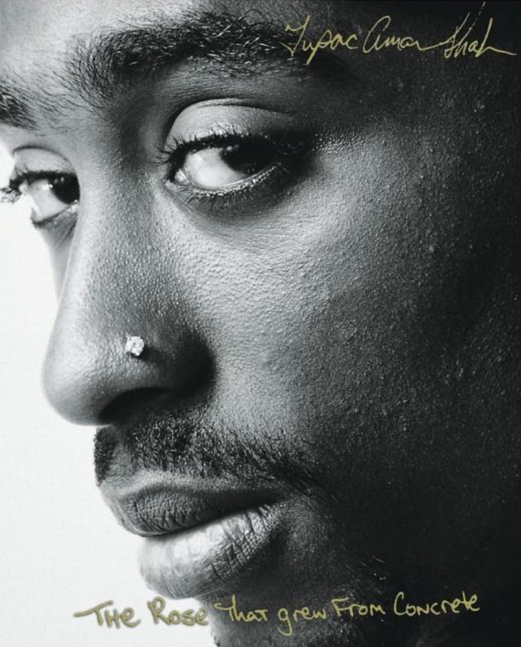 The Rose That Grew from Concrete by Tupac Shakur