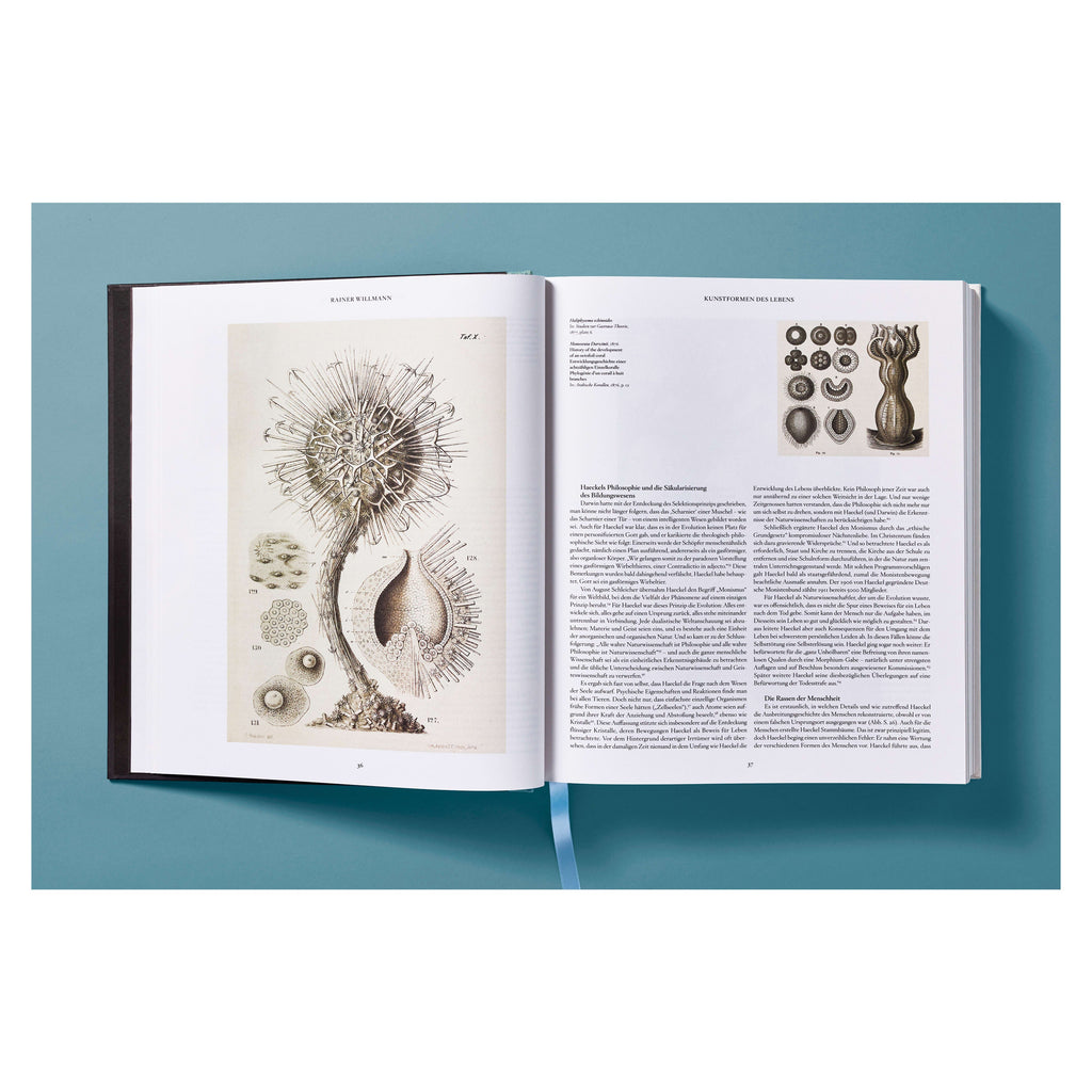 The Art and Science of Ernst Haeckel (German, French, English)