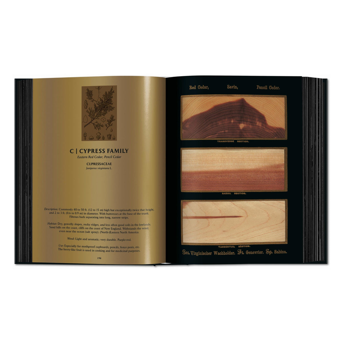 Romeyn B. Hough: The Woodbook. The Complete Plates