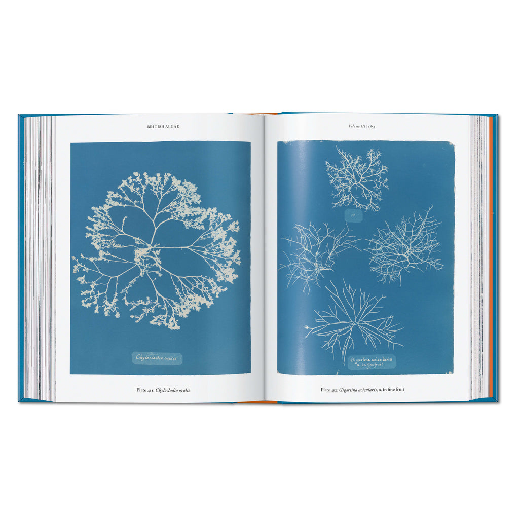 Anna Atkins. Cyanotypes: 45th Ed. (German, French, English)