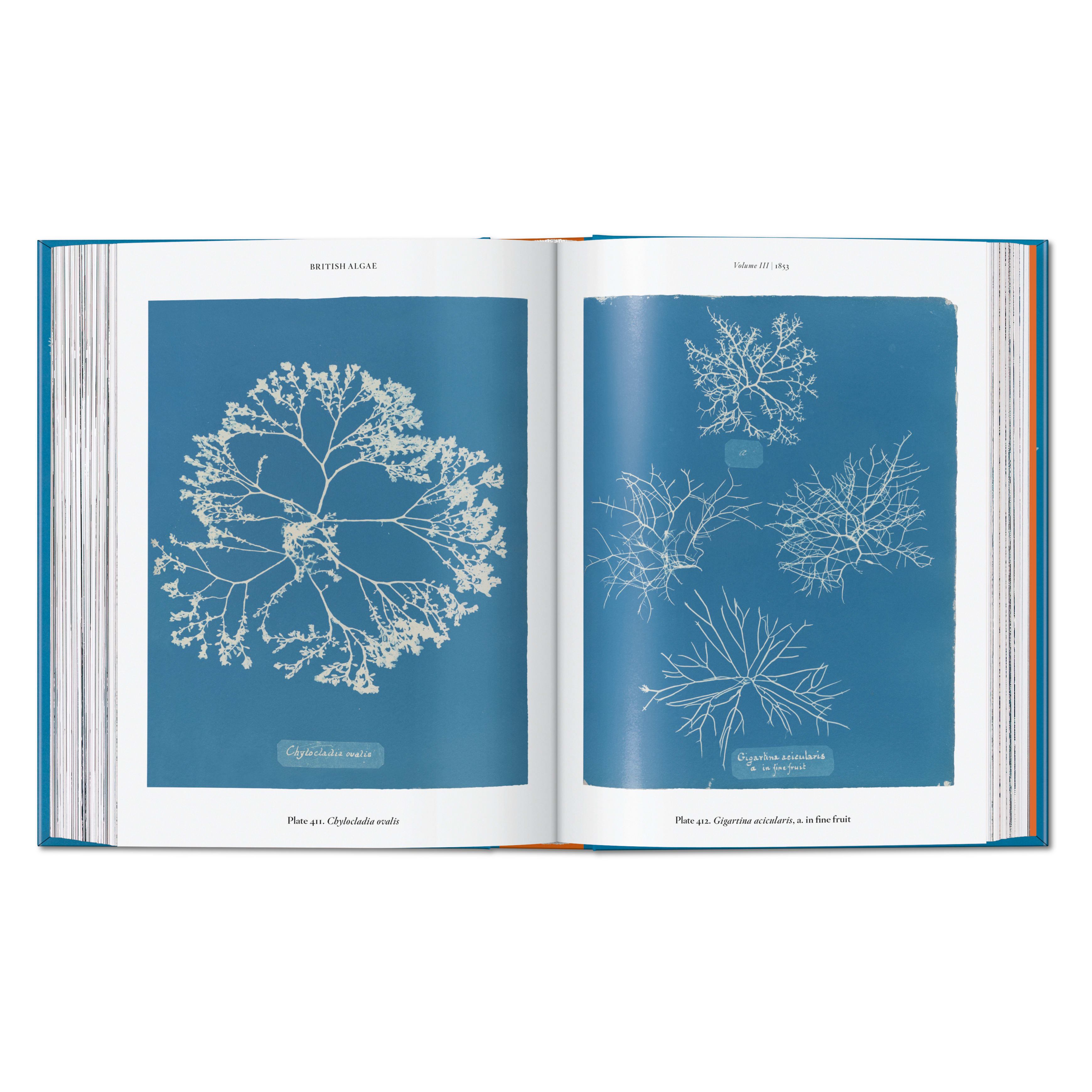 Anna Atkins. Cyanotypes: 45th Ed. (German, French, English)