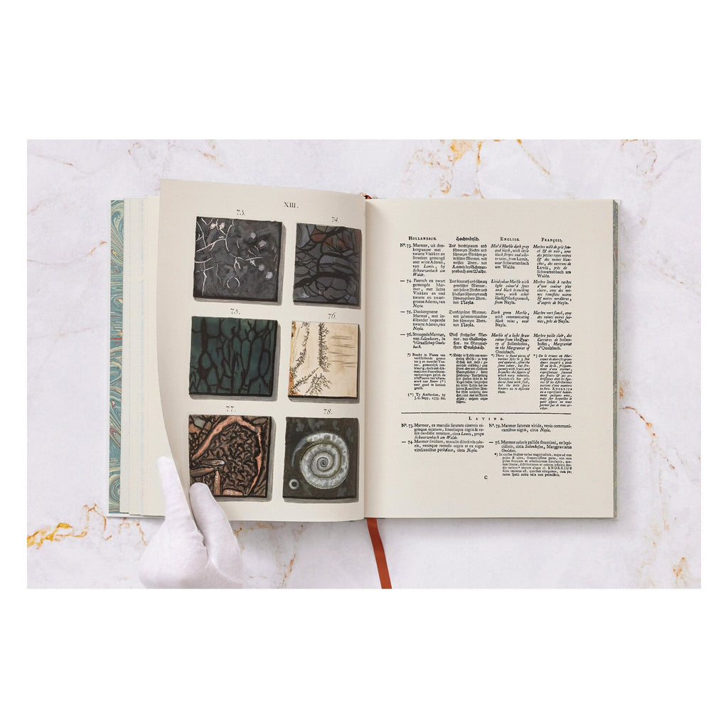 Jan Christiaan Sepp: The Book of Marble (German, French, English)