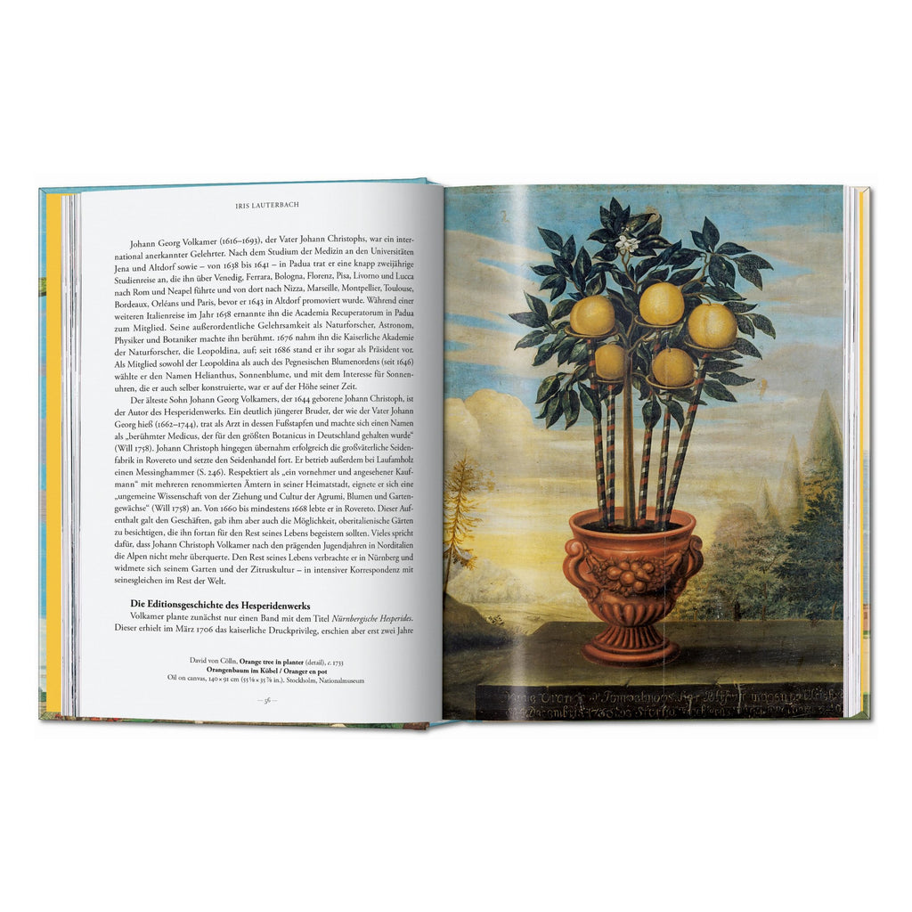 J. C. Volkamer: The Book of Citrus Fruits, 45th Ed. (German, French, English)
