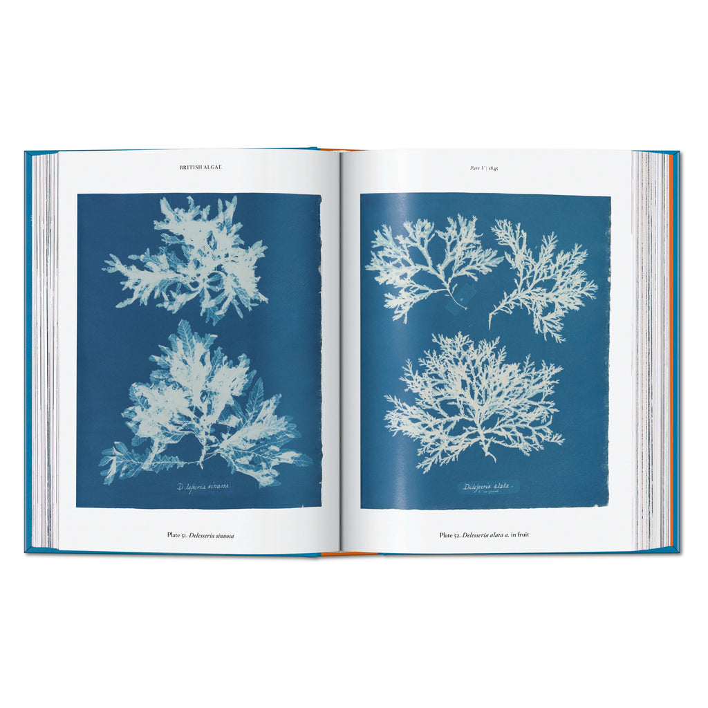 Anna Atkins. Cyanotypes: 45th Ed. (German, French, English)