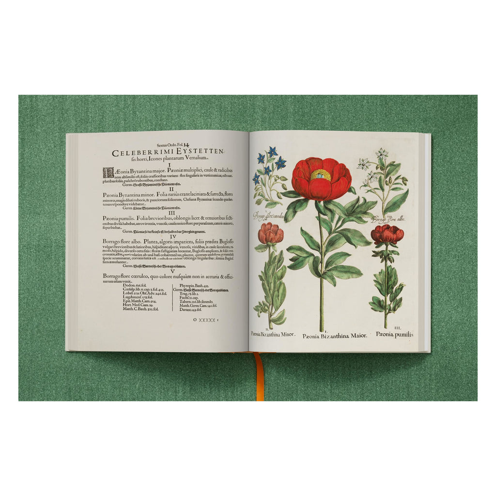 Basilius Besler: The Garden at Eichstätt (German, French, English)