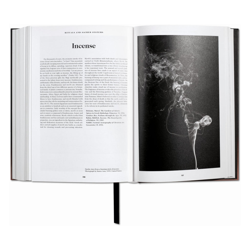 The Book of Symbols: Reflections on Archetypal Images