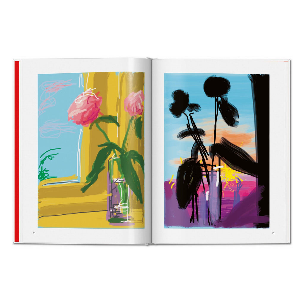 David Hockney: My Window