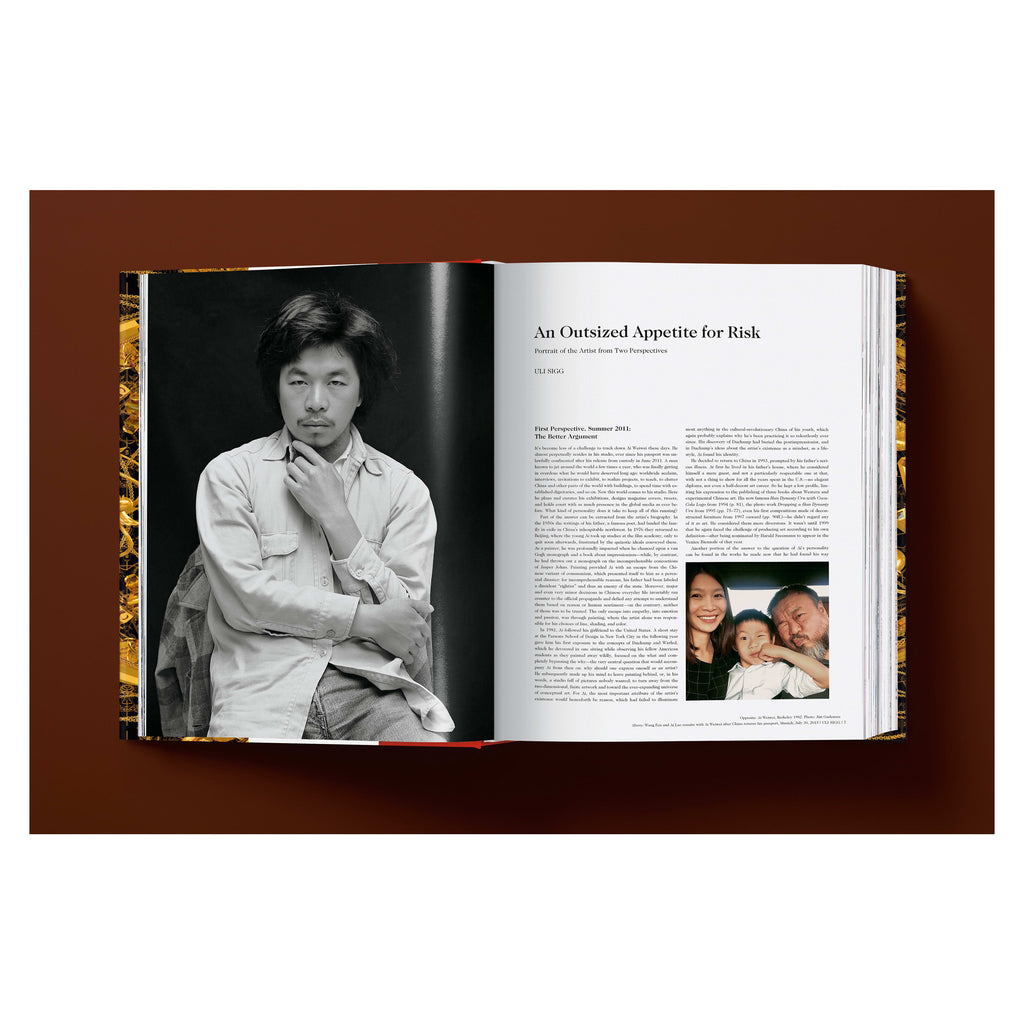 Ai Weiwei: Updated Edition (German, French, English)