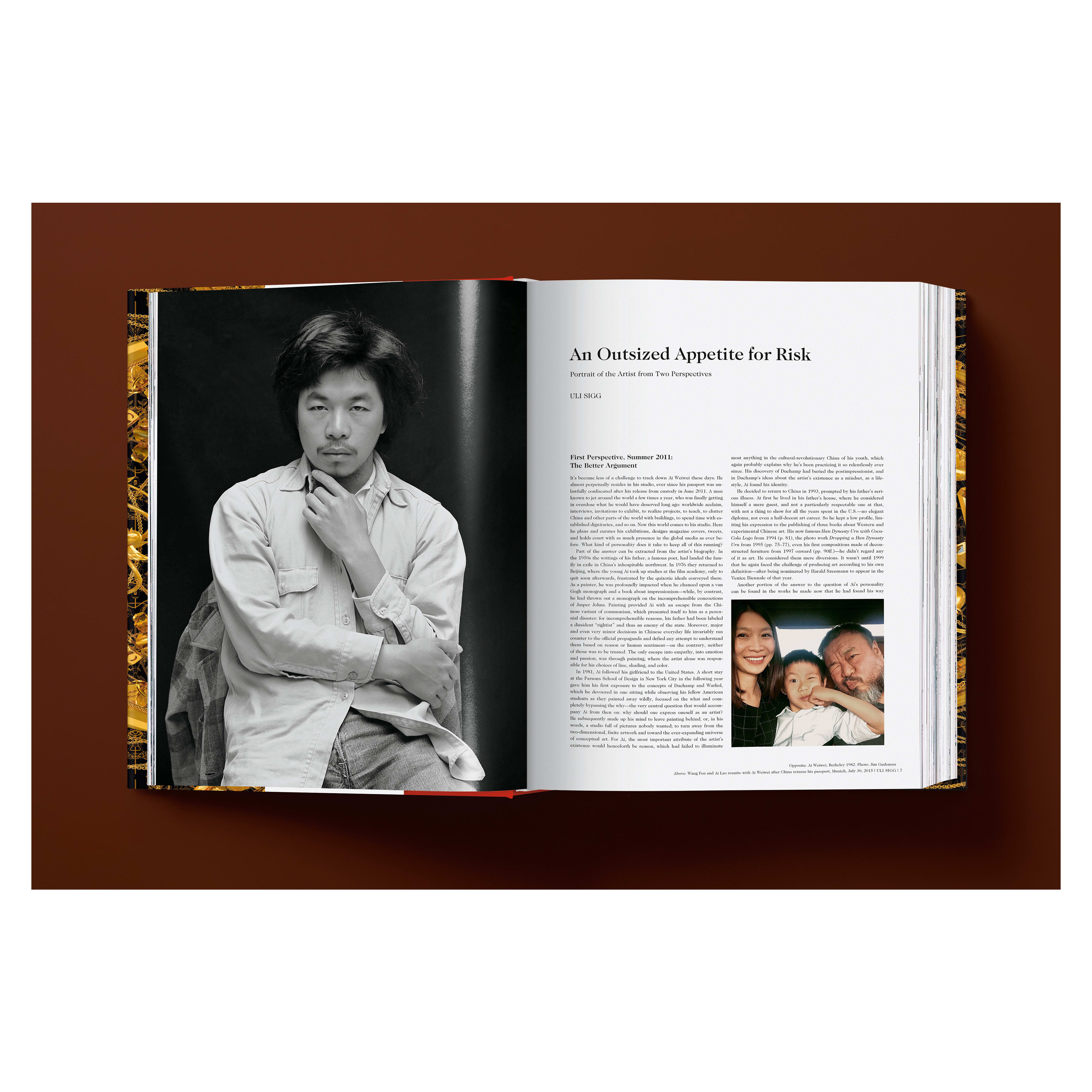 Ai Weiwei: Updated Edition (German, French, English)