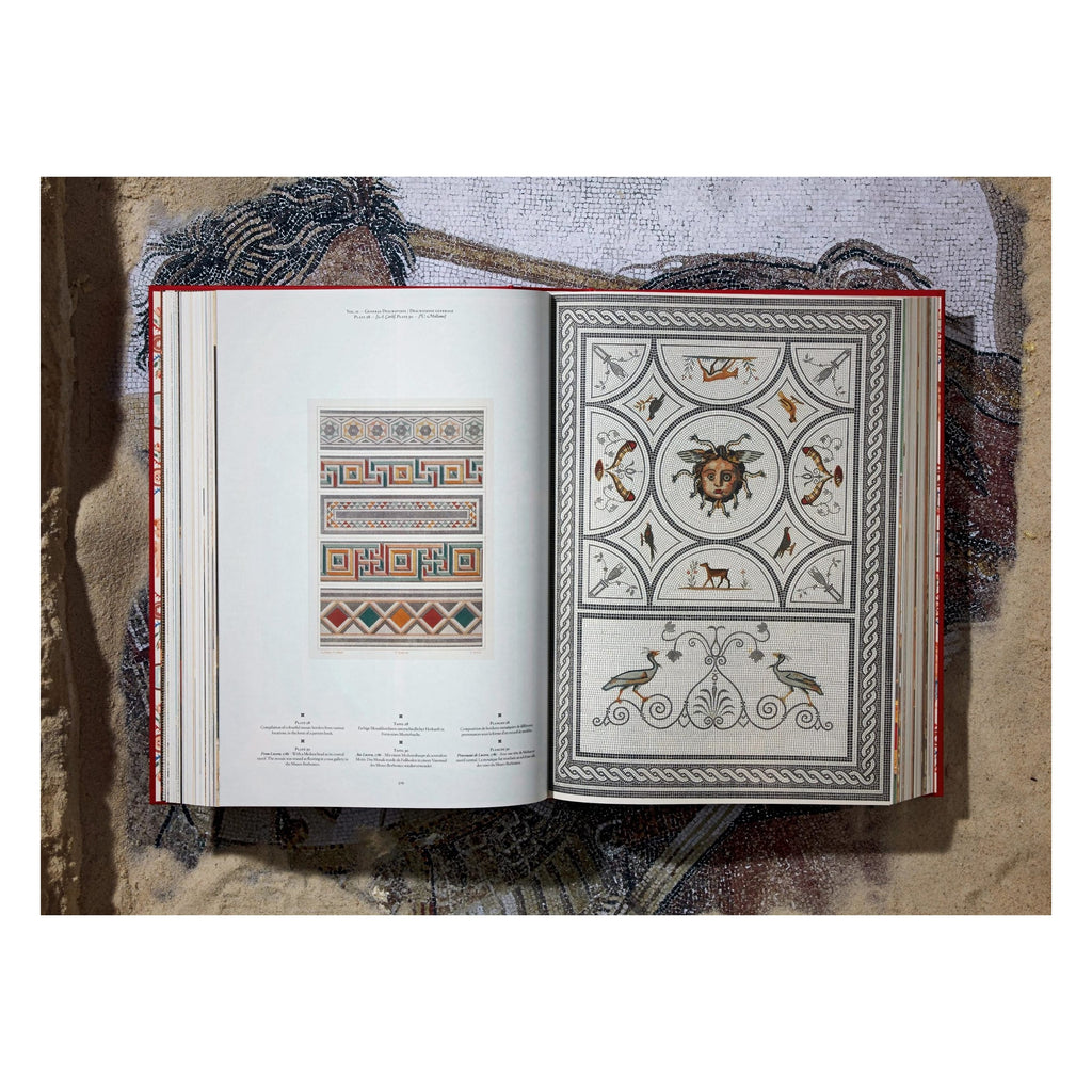 Fausto & Felice Niccolini: Houses and Monuments of Pompeii (German, French, English)