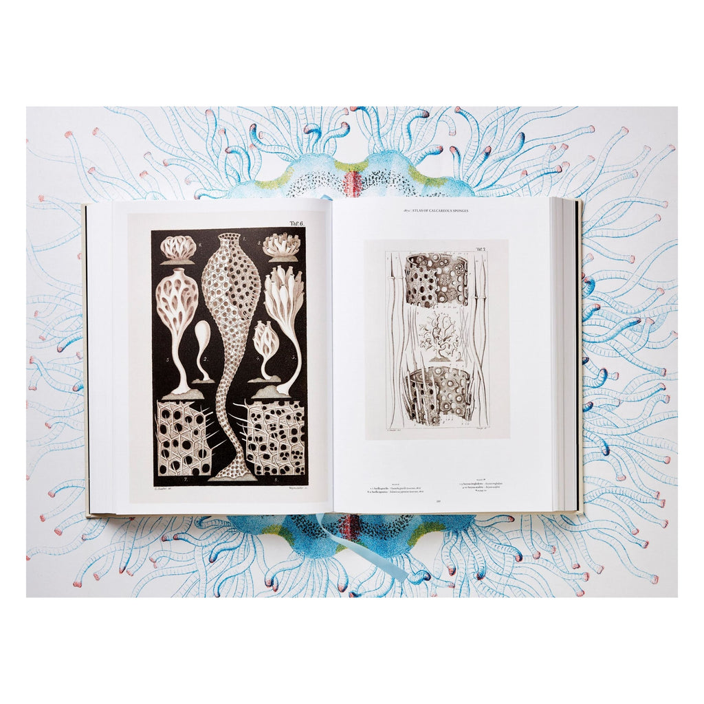 The Art and Science of Ernst Haeckel (German, French, English)