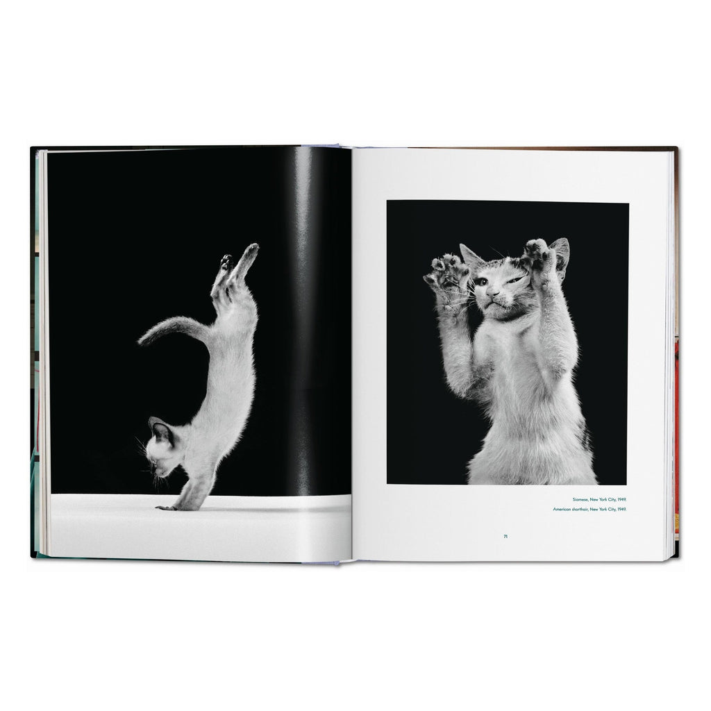 Walter Chandoha: Cats, Photographs 1942–2018 (German, French, English)
