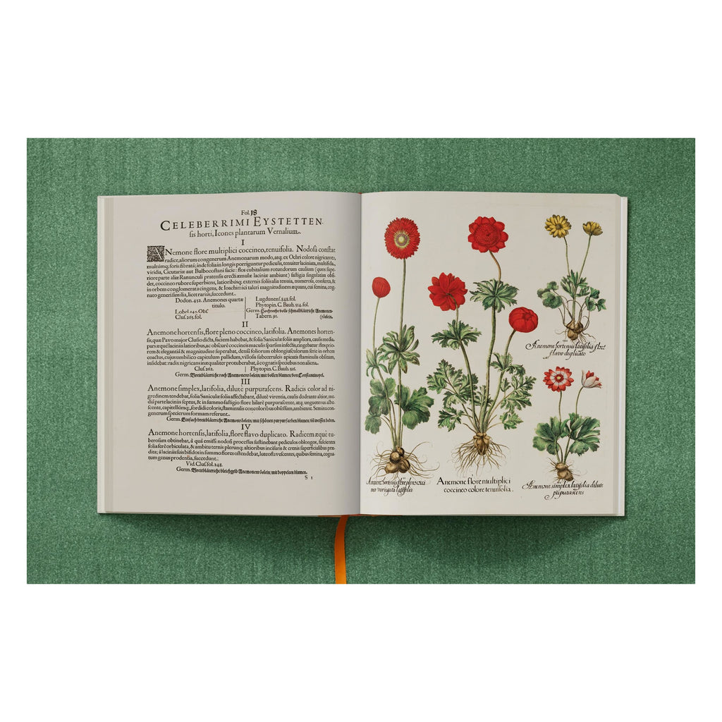 Basilius Besler: The Garden at Eichstätt (German, French, English)