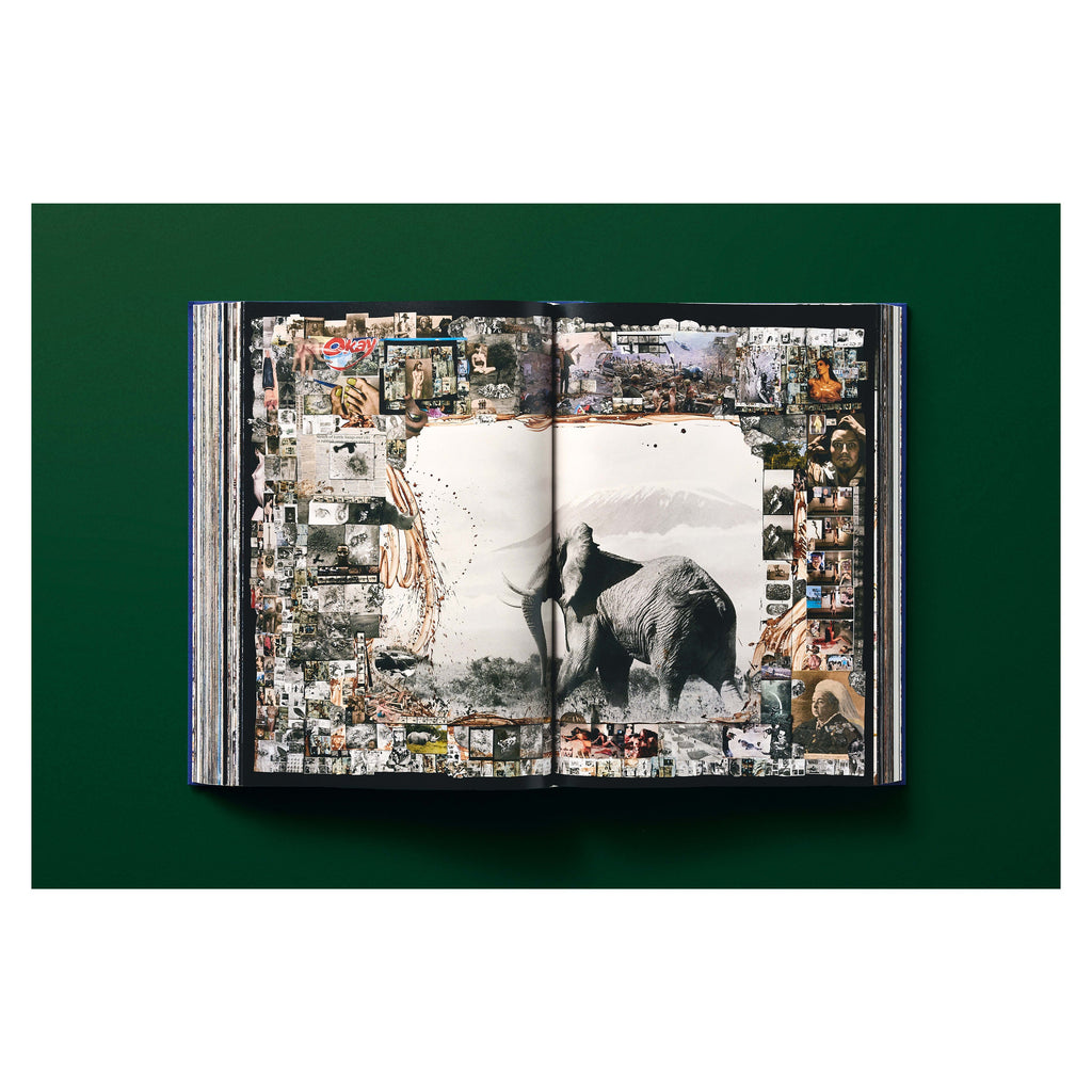 Peter Beard (German, French, English)