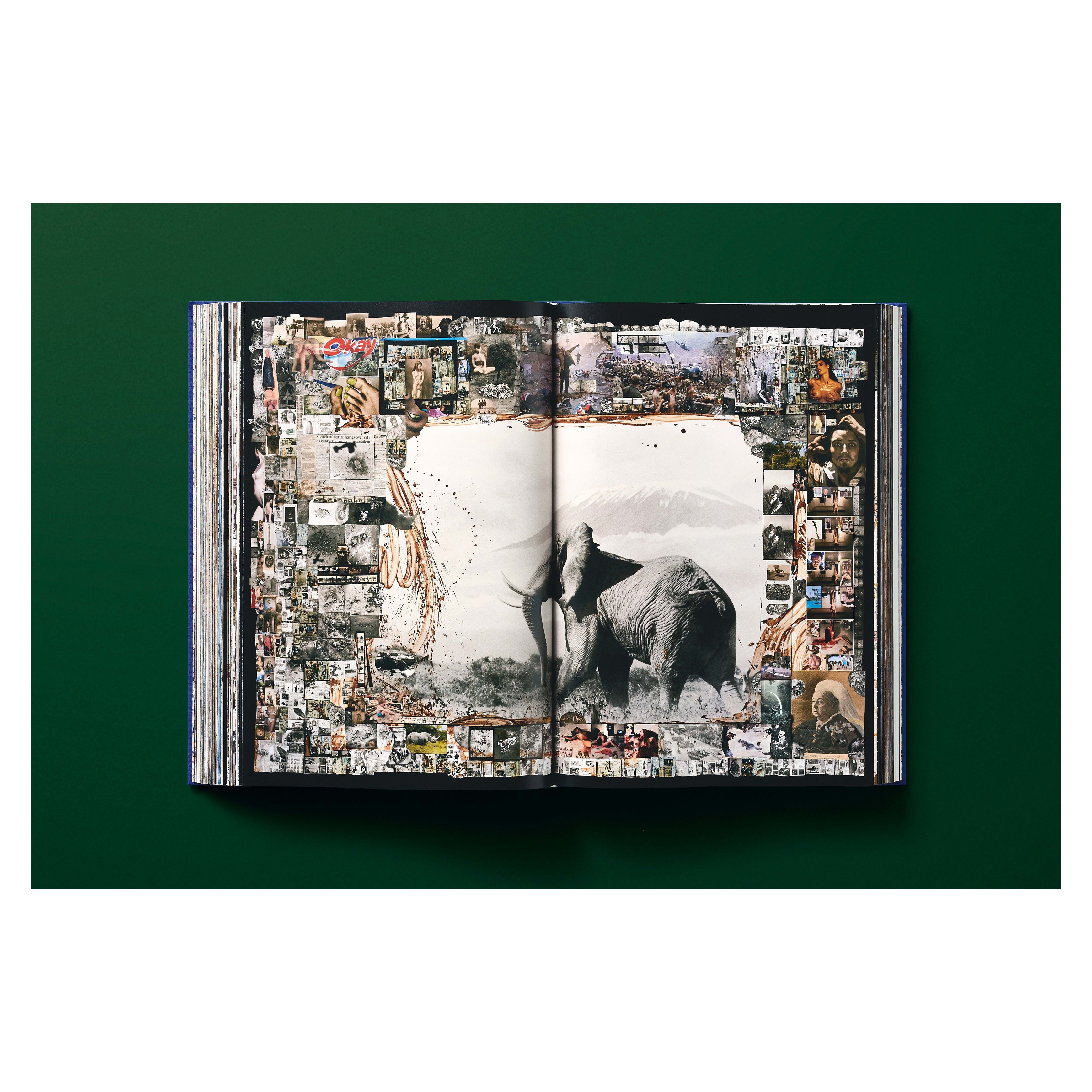 Peter Beard (German, French, English)