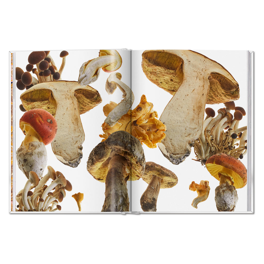 The Gourmand's Mushroom: A Collection of Stories and Recipes (English)