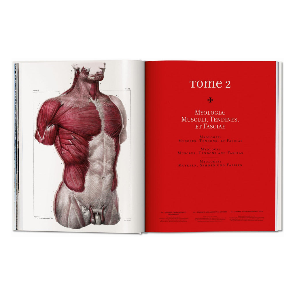 Bourgery: Atlas of Human Anatomy and Surgery (German, French, English)
