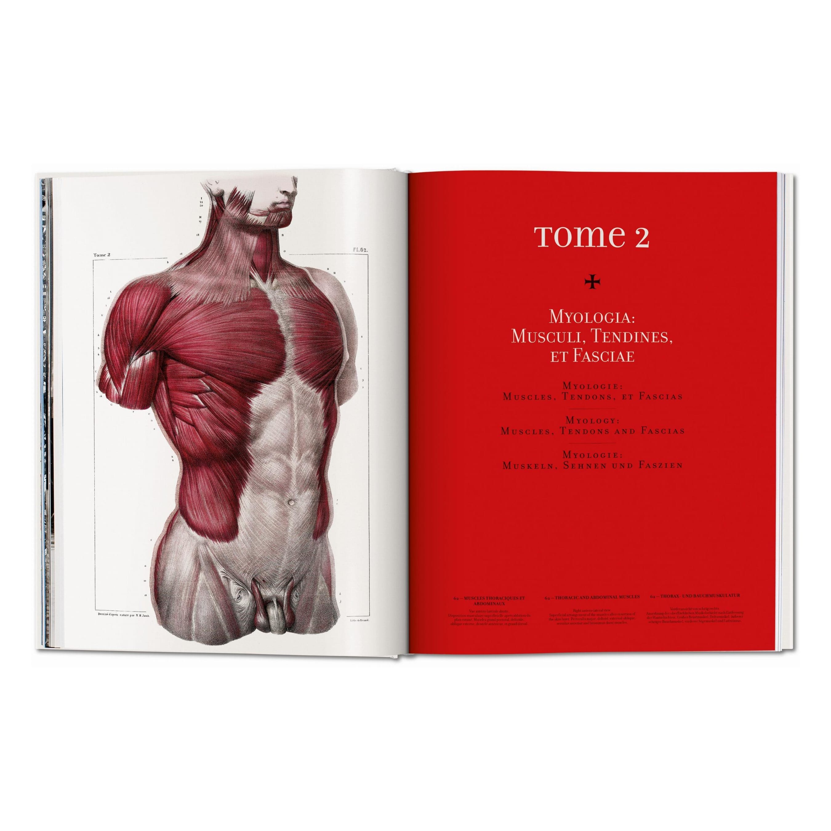 Bourgery: Atlas of Human Anatomy and Surgery (German, French, English)