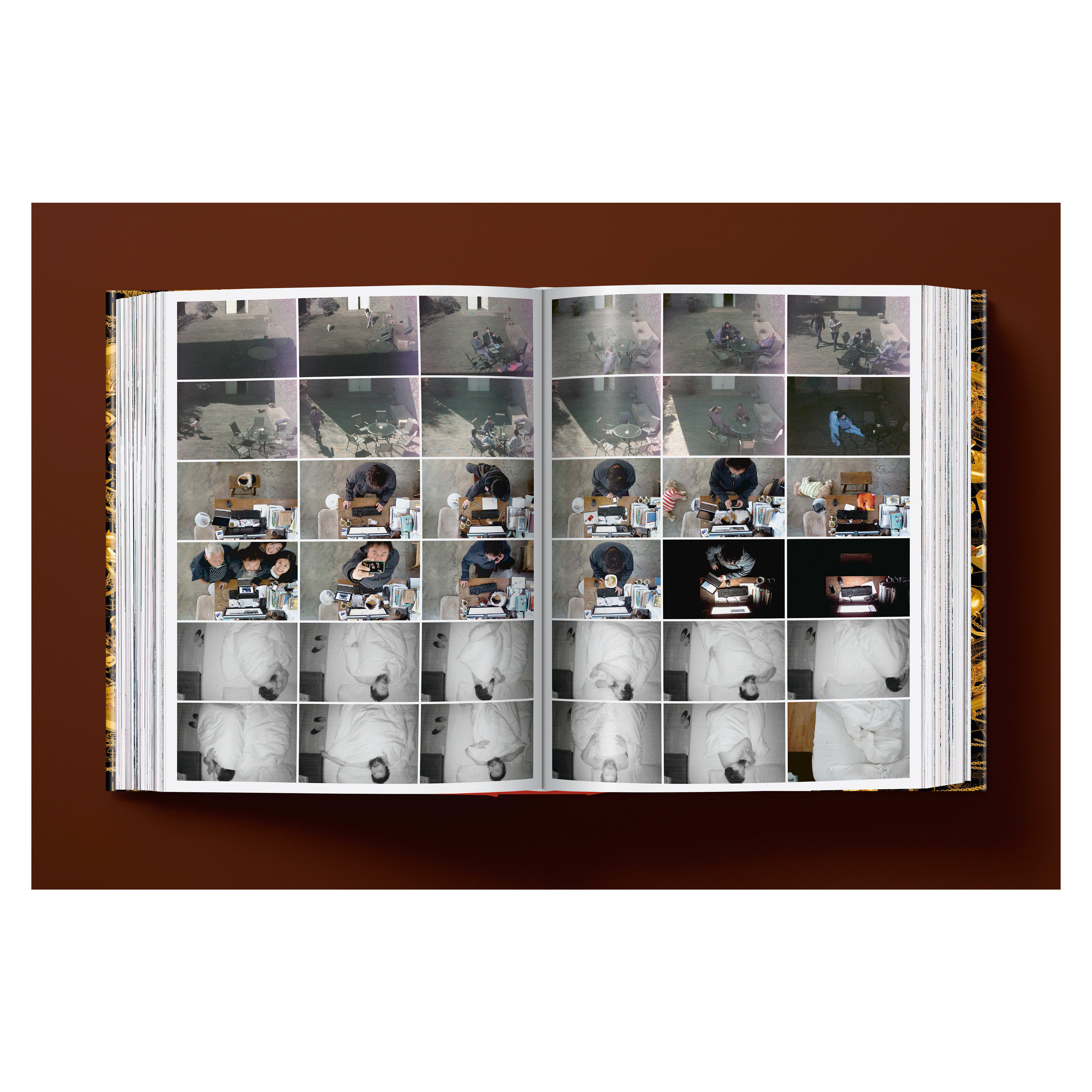 Ai Weiwei: Updated Edition (German, French, English)