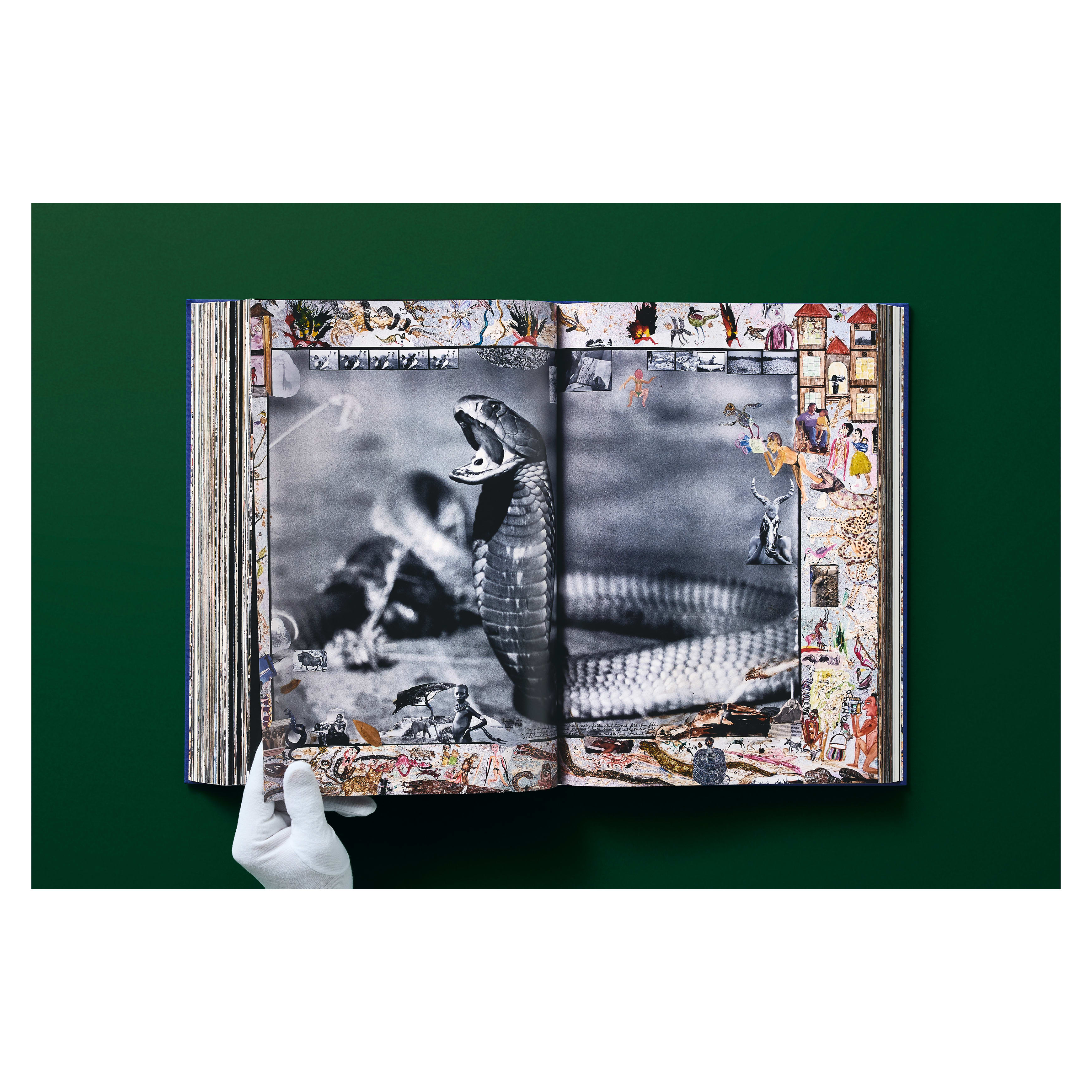 Peter Beard (German, French, English)