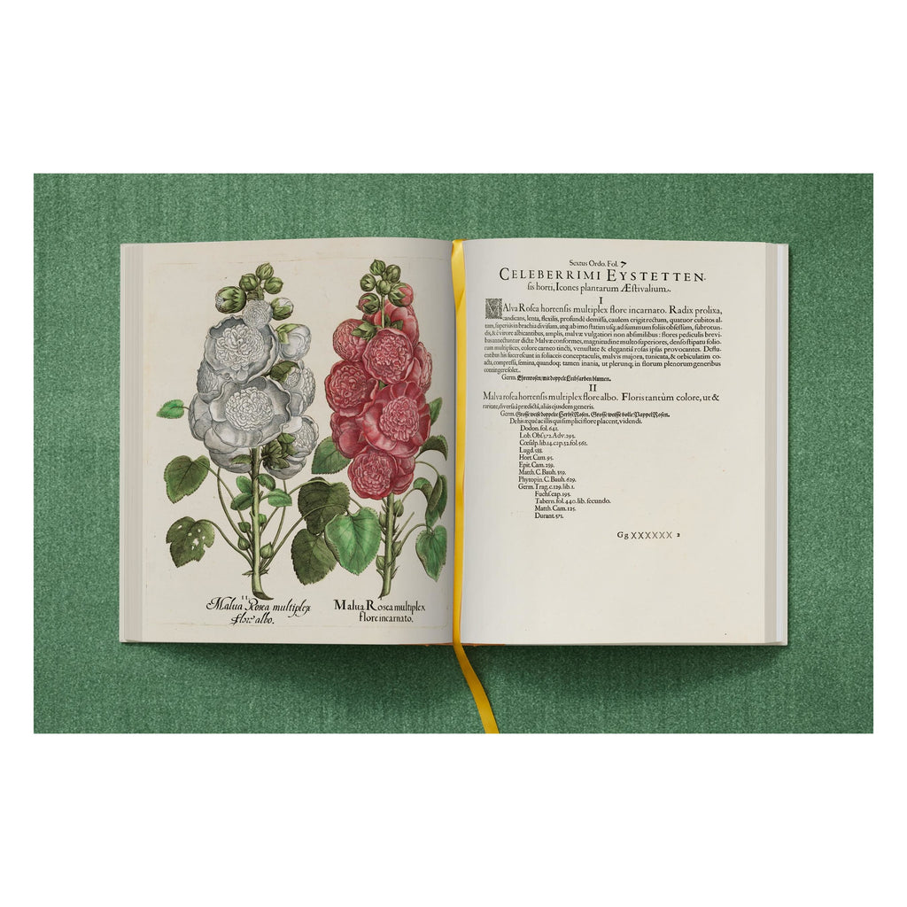 Basilius Besler: The Garden at Eichstätt (German, French, English)