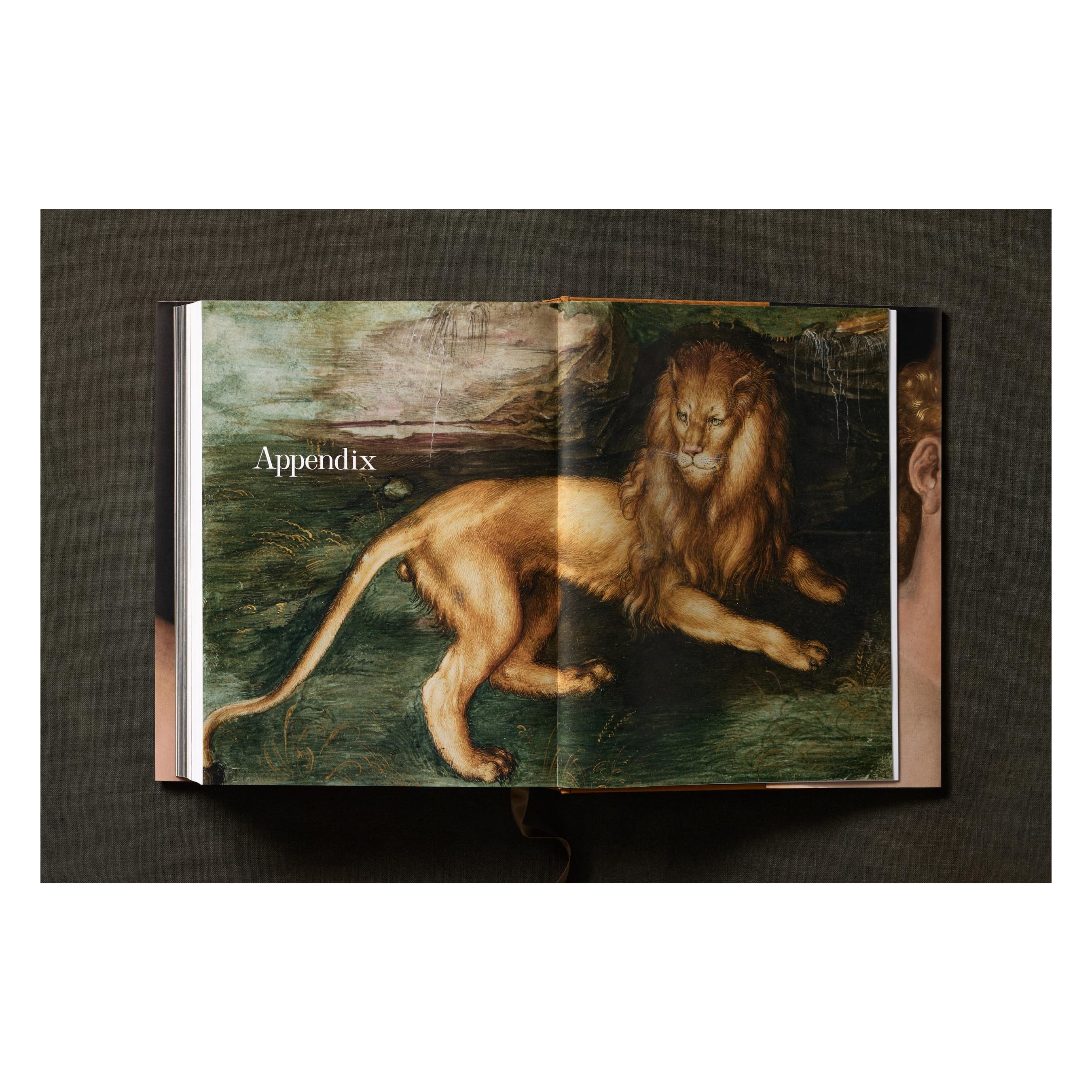 Albrecht Dürer: The Complete Paintings. Selected Drawings and Prints