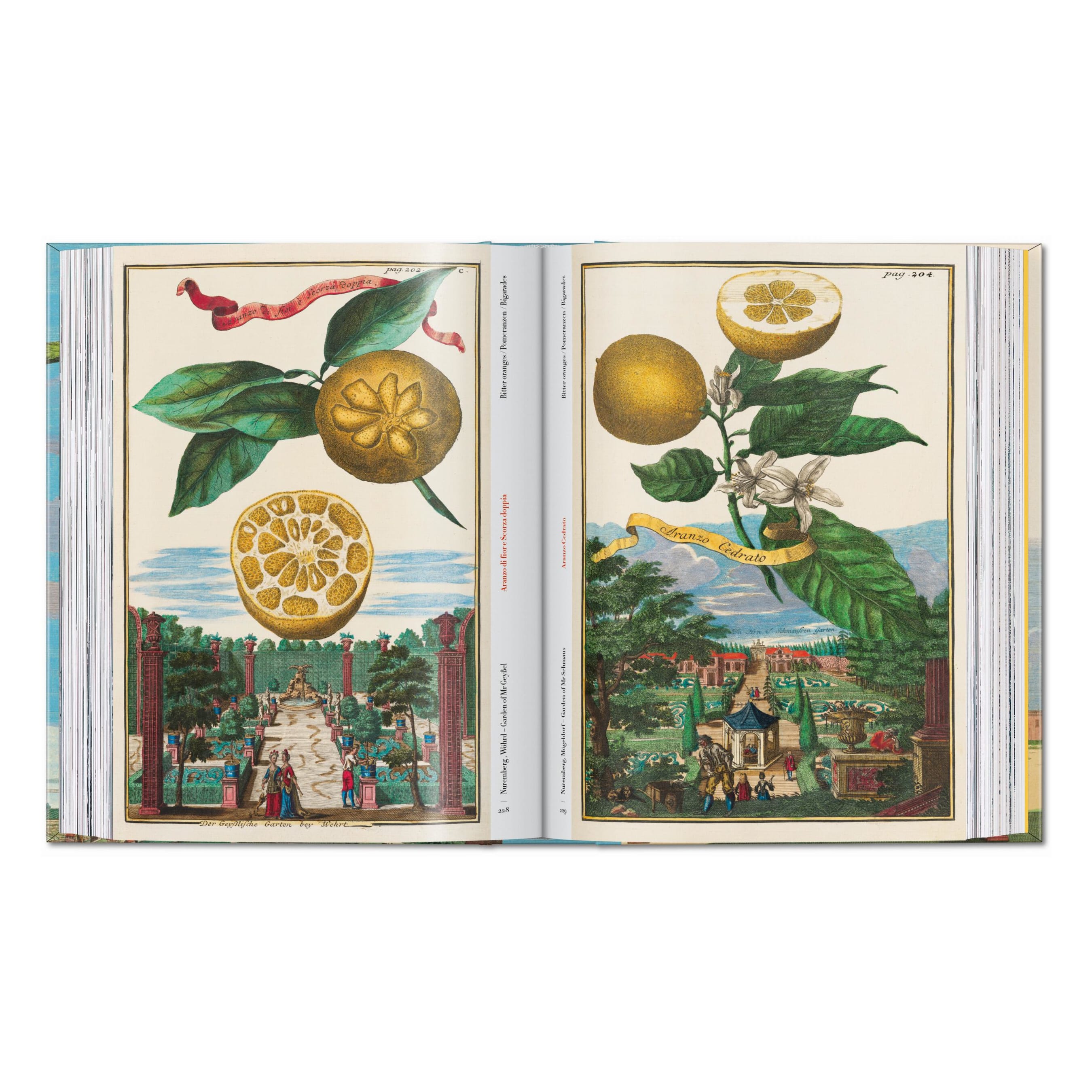 J. C. Volkamer: The Book of Citrus Fruits, 45th Ed. (German, French, English)