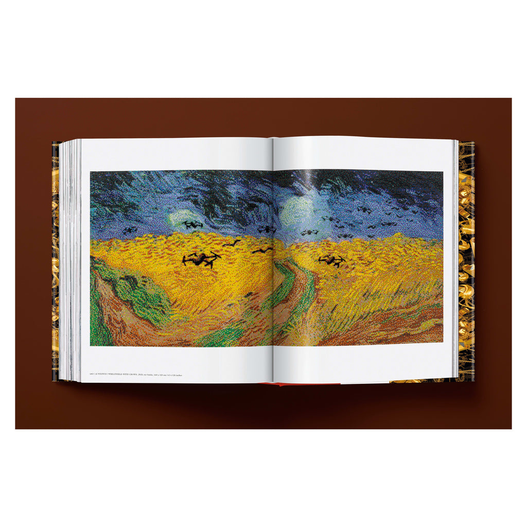 Ai Weiwei: Updated Edition (German, French, English)