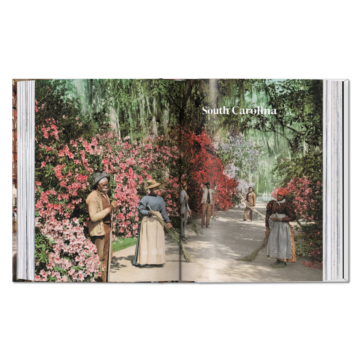 America 1900. A Portrait in Color. 45th Ed.