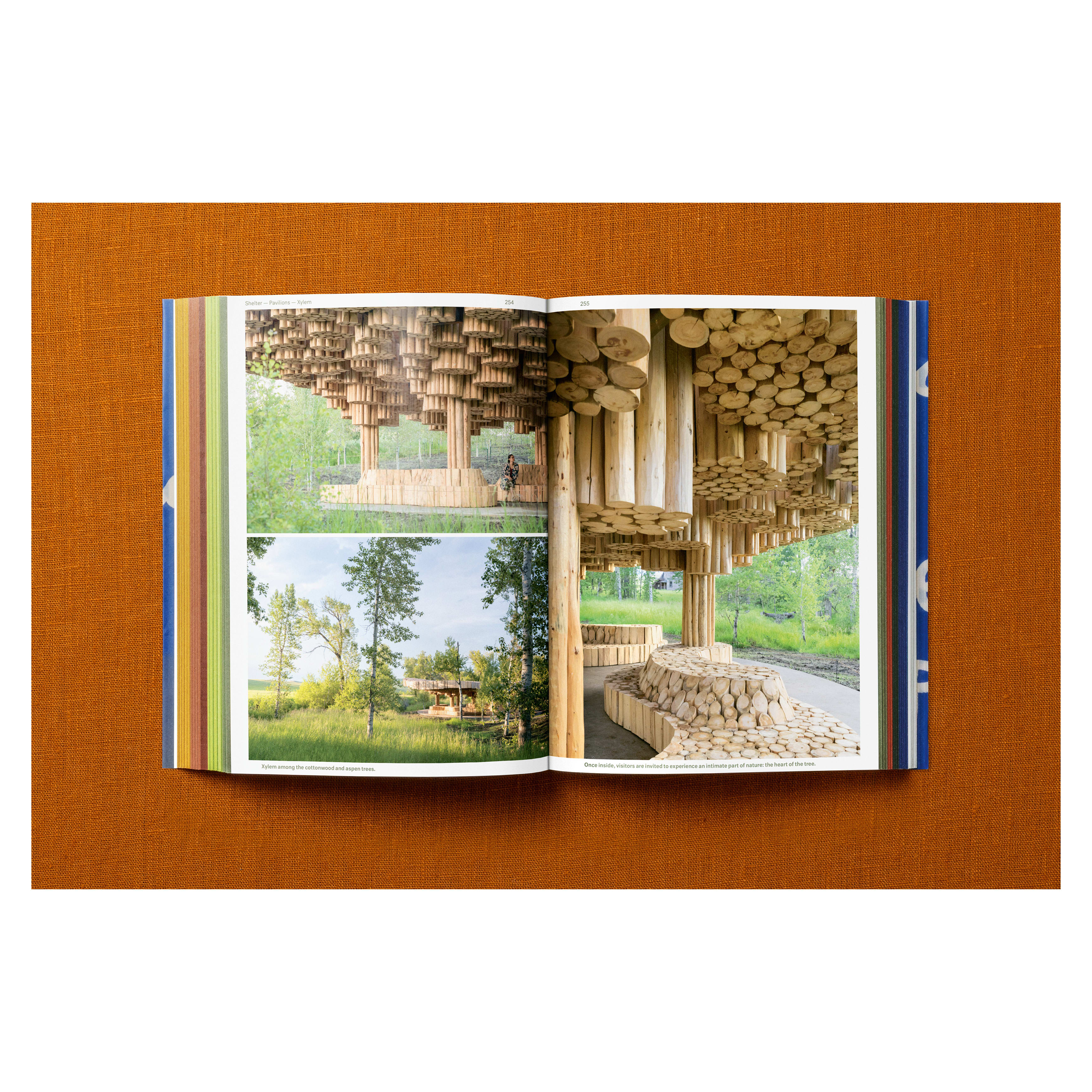 Francis Kéré: Building Stories
