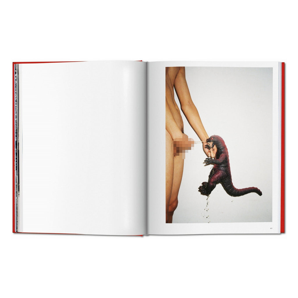 Ren Hang (German, French, English)