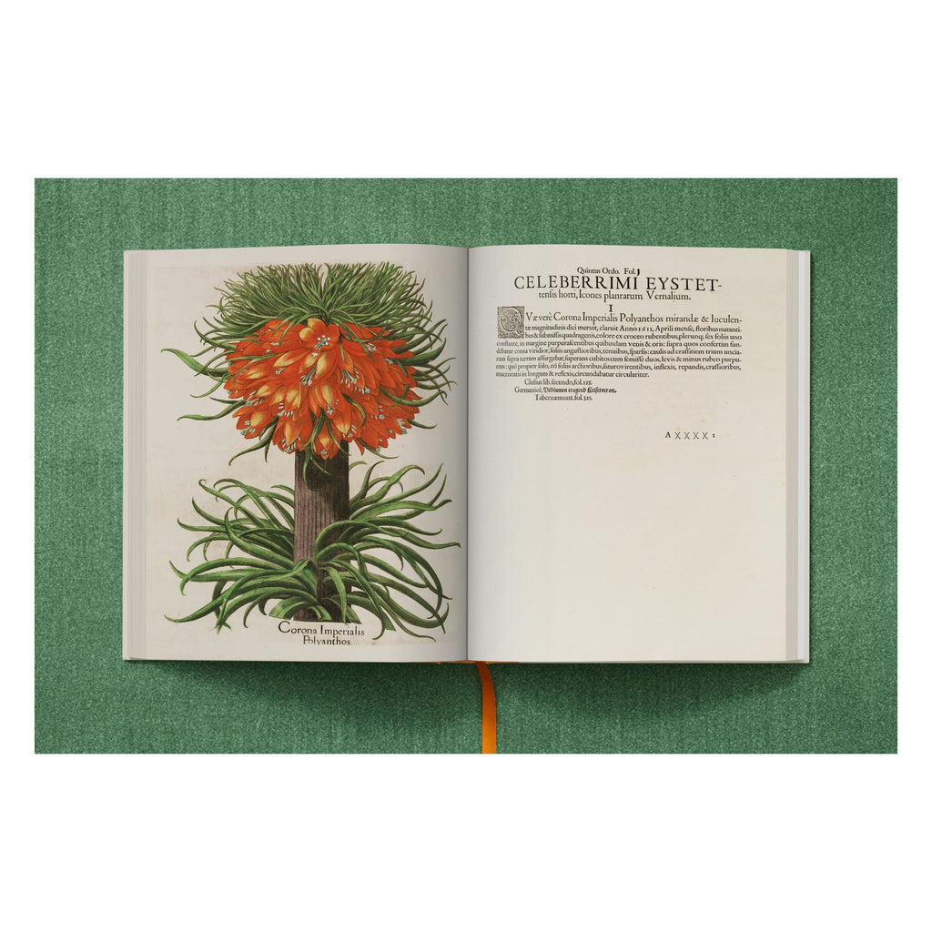 Basilius Besler: The Garden at Eichstätt (German, French, English)