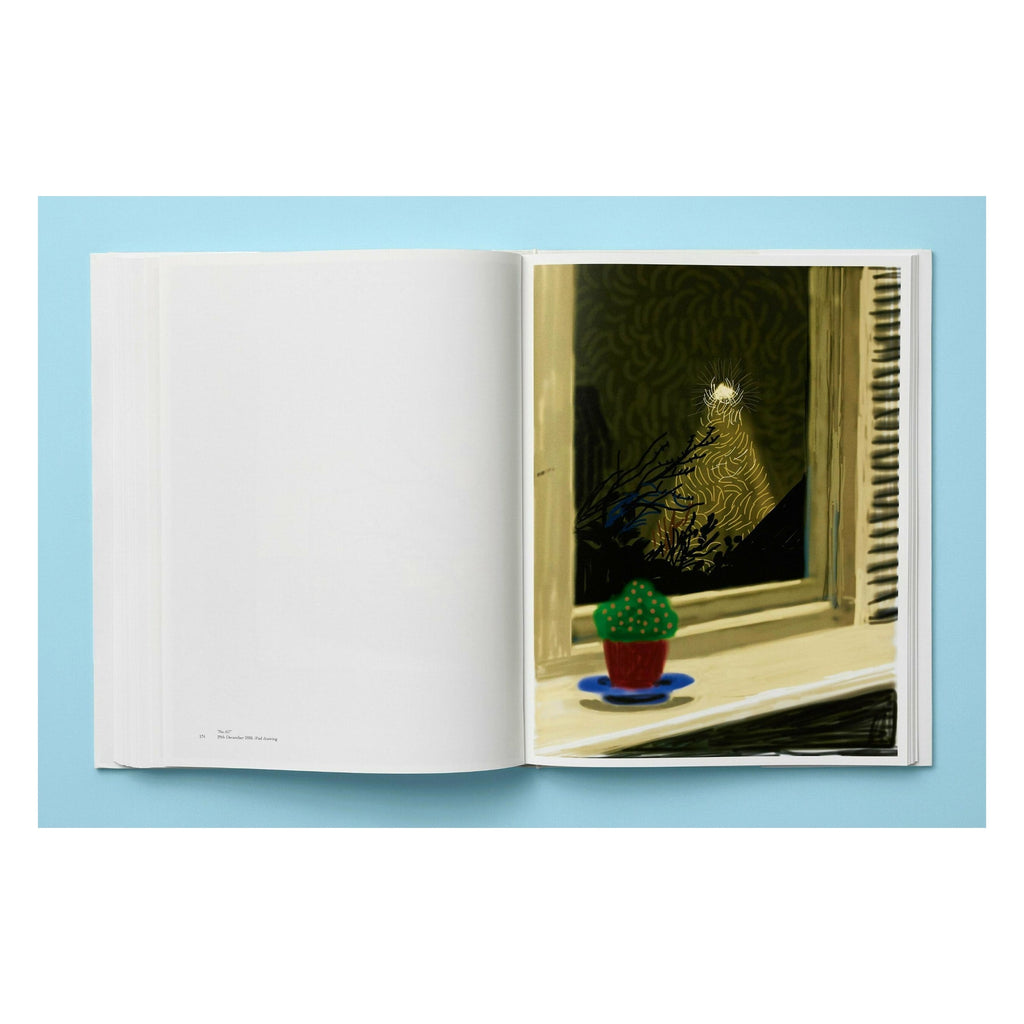 David Hockney: My Window