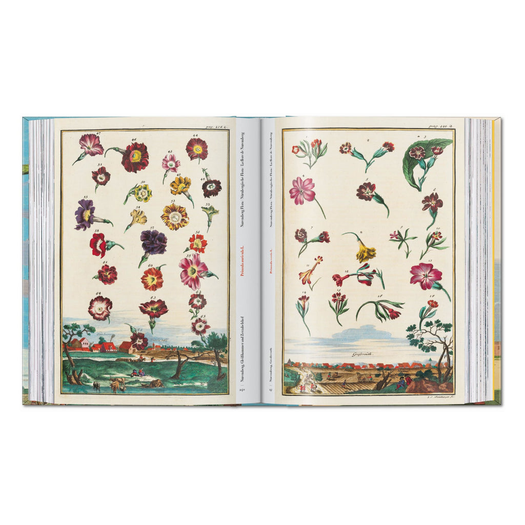 J. C. Volkamer: The Book of Citrus Fruits, 45th Ed. (German, French, English)