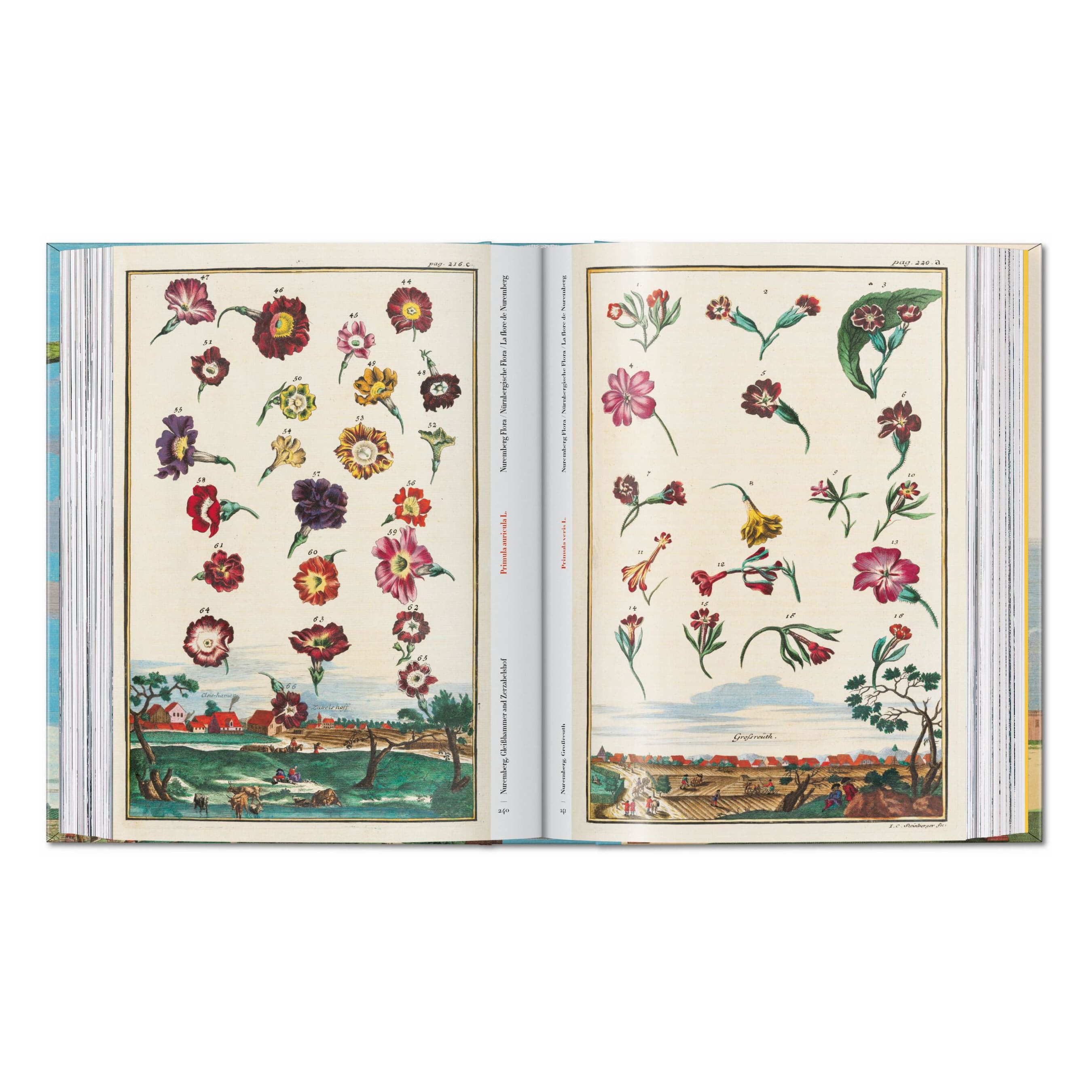 J. C. Volkamer: The Book of Citrus Fruits, 45th Ed. (German, French, English)