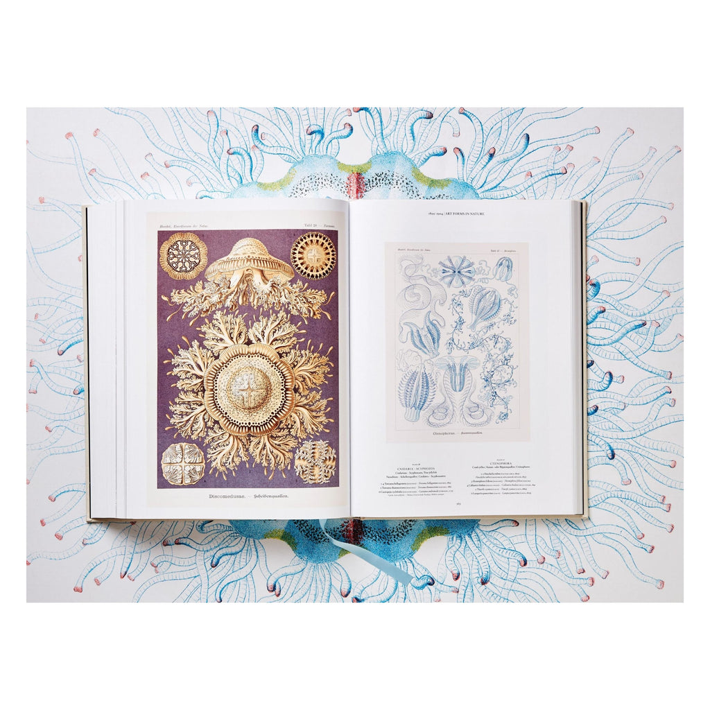 The Art and Science of Ernst Haeckel (German, French, English)