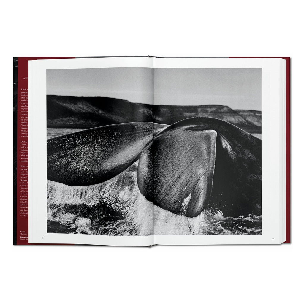 Sebastião Salgado: Genesis