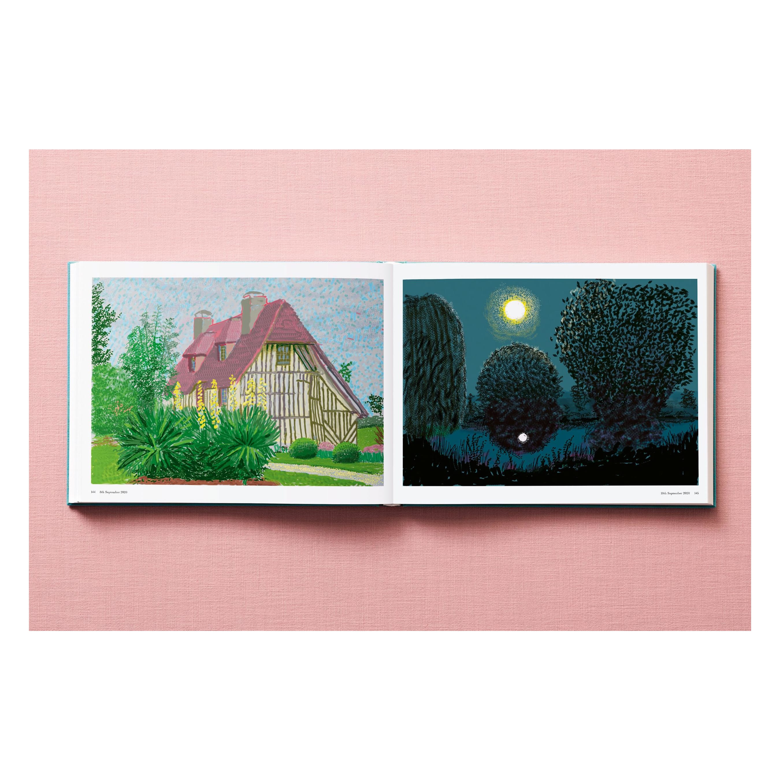 David Hockney: 220 for 2020