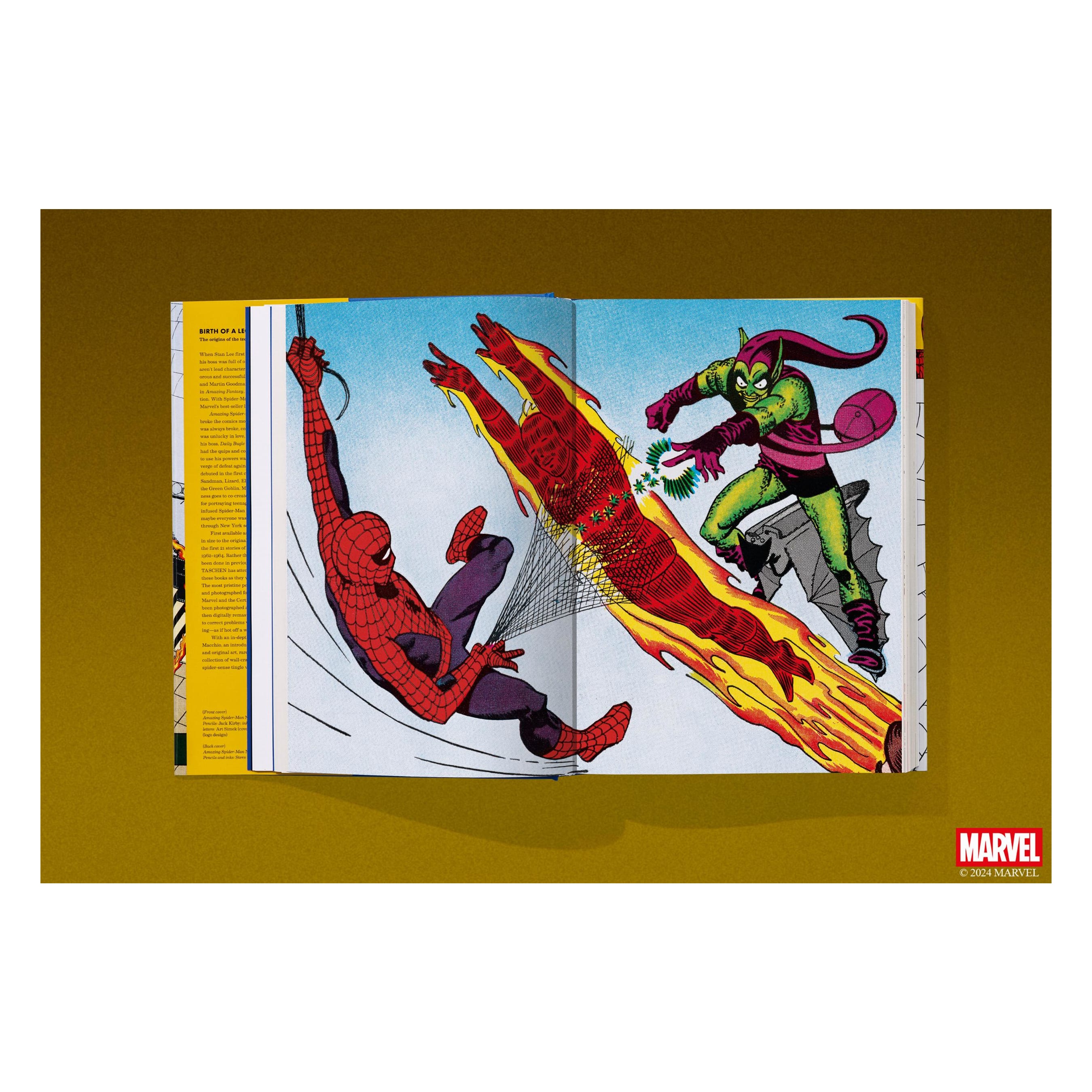 Marvel Comics Library: Spider-Man. 1962–1964