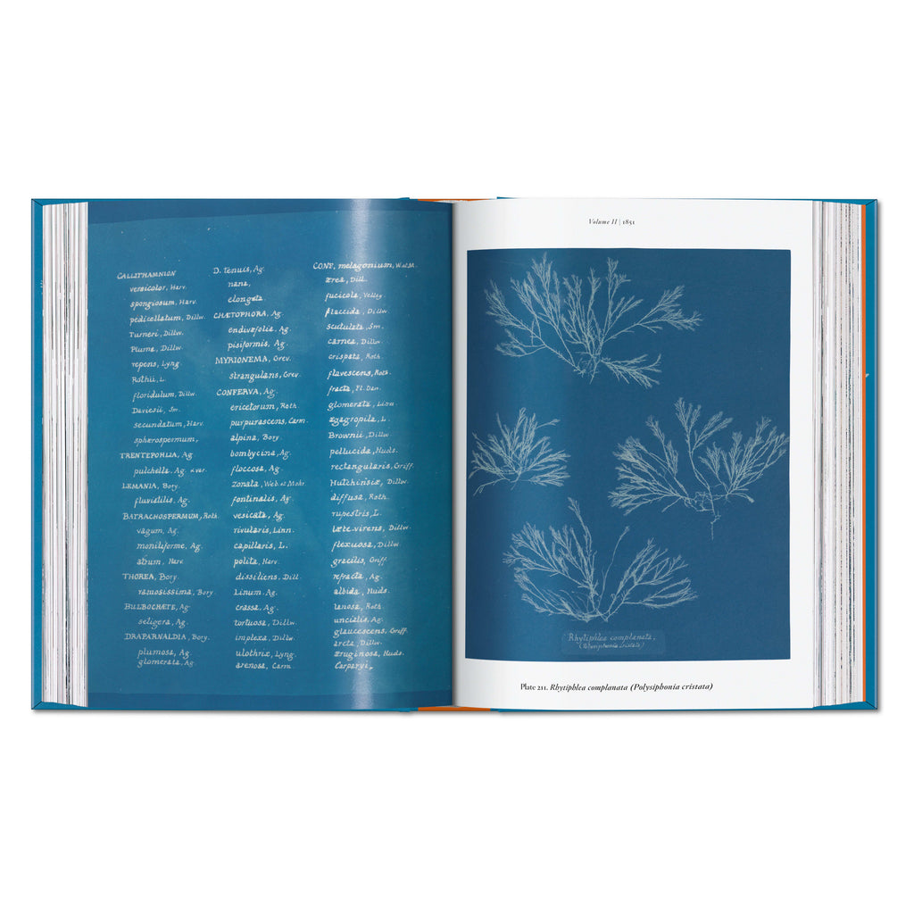 Anna Atkins. Cyanotypes: 45th Ed. (German, French, English)