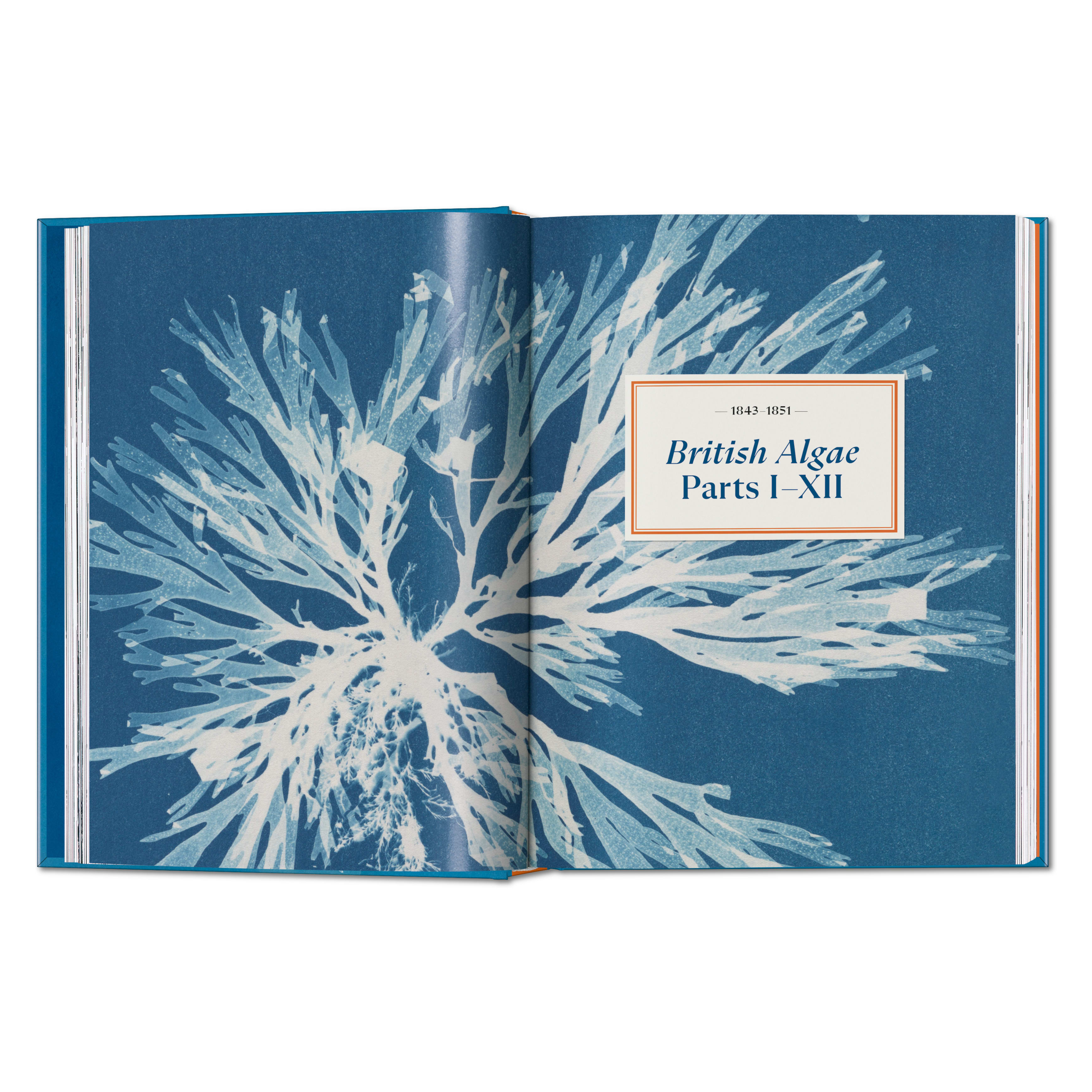 Anna Atkins. Cyanotypes: 45th Ed. (German, French, English)