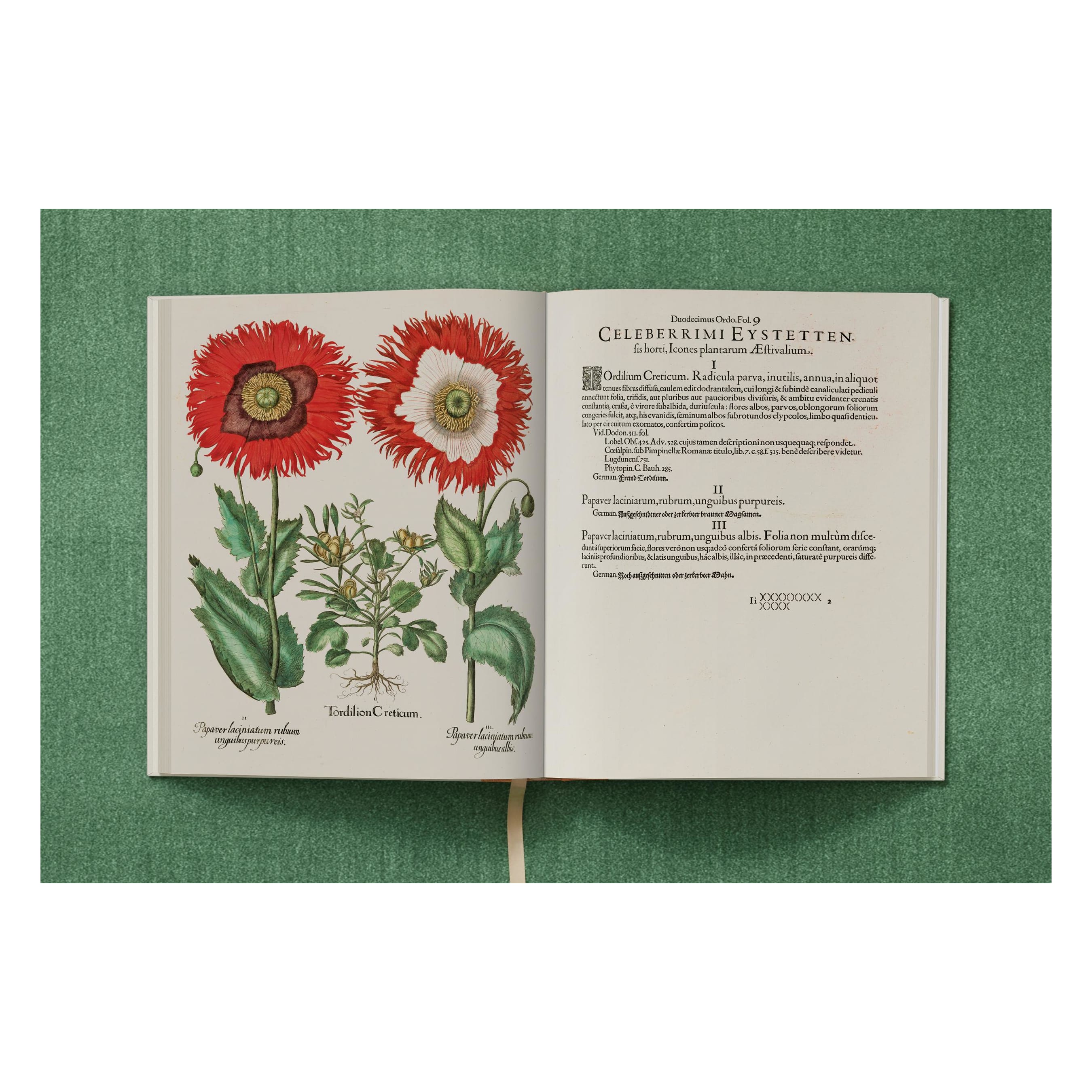 Basilius Besler: The Garden at Eichstätt (German, French, English)