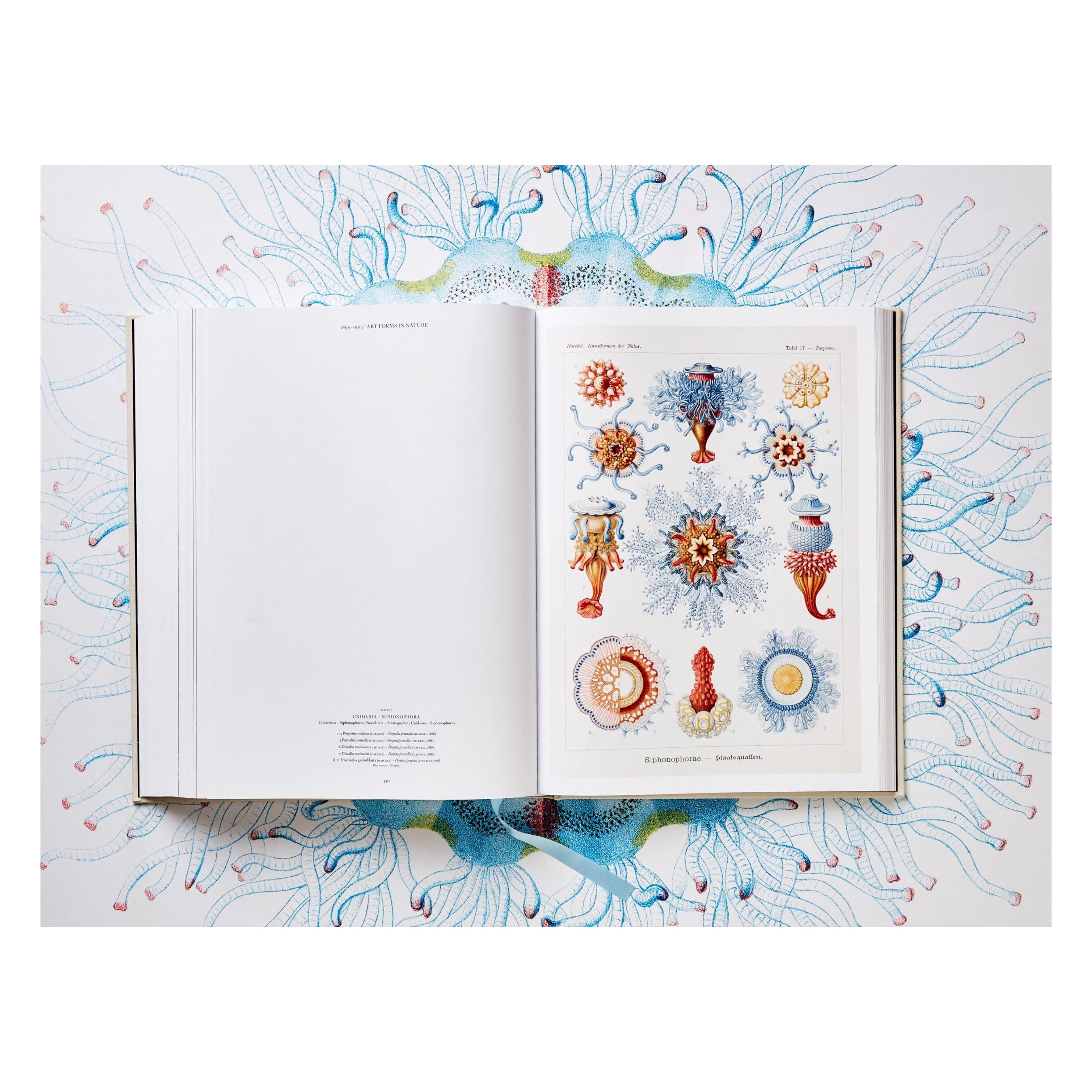 The Art and Science of Ernst Haeckel (German, French, English)