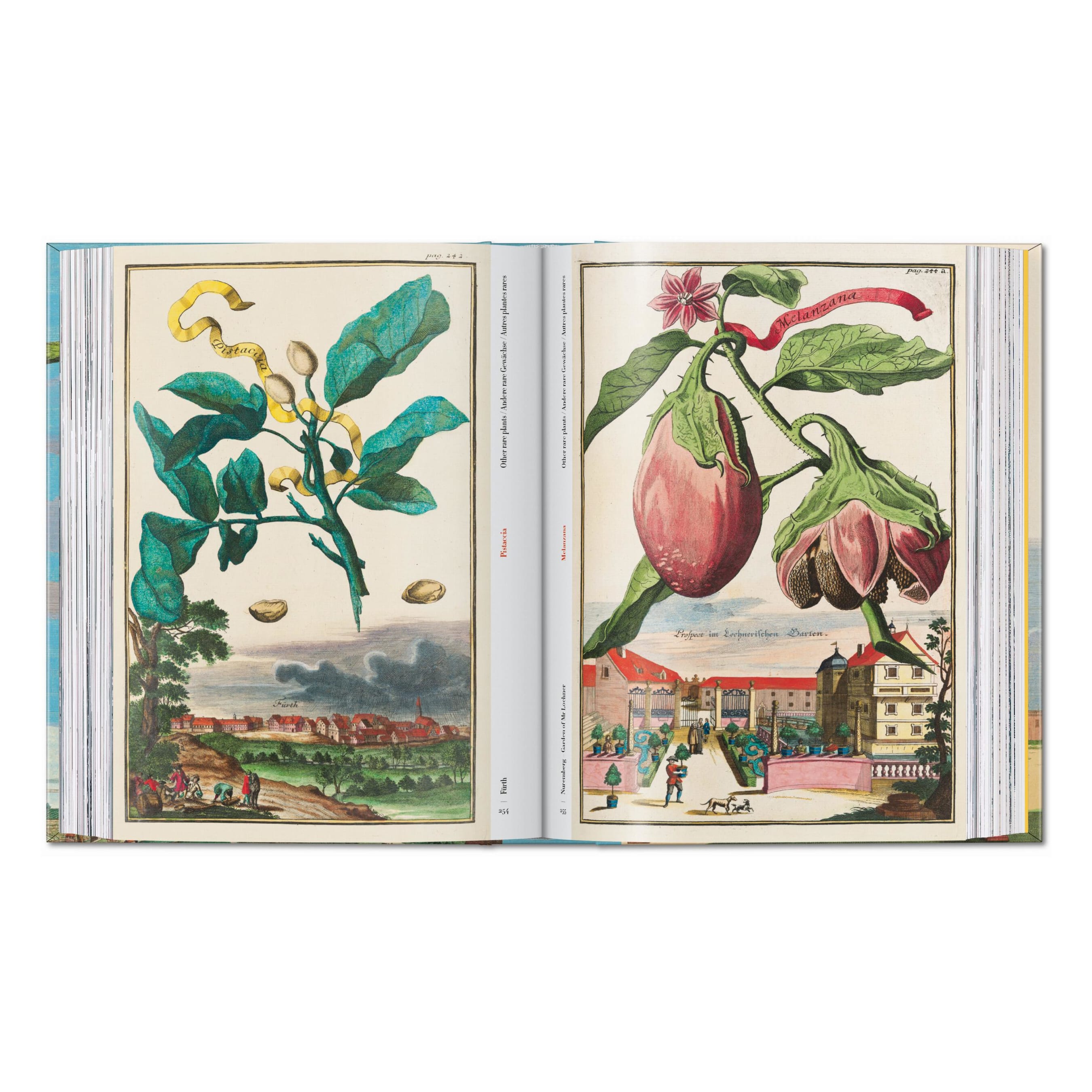 J. C. Volkamer: The Book of Citrus Fruits, 45th Ed. (German, French, English)