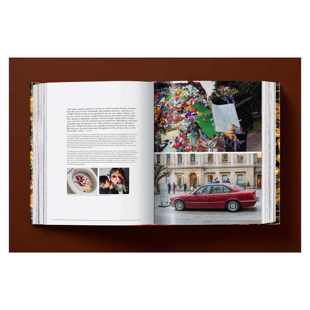 Ai Weiwei: Updated Edition (German, French, English)