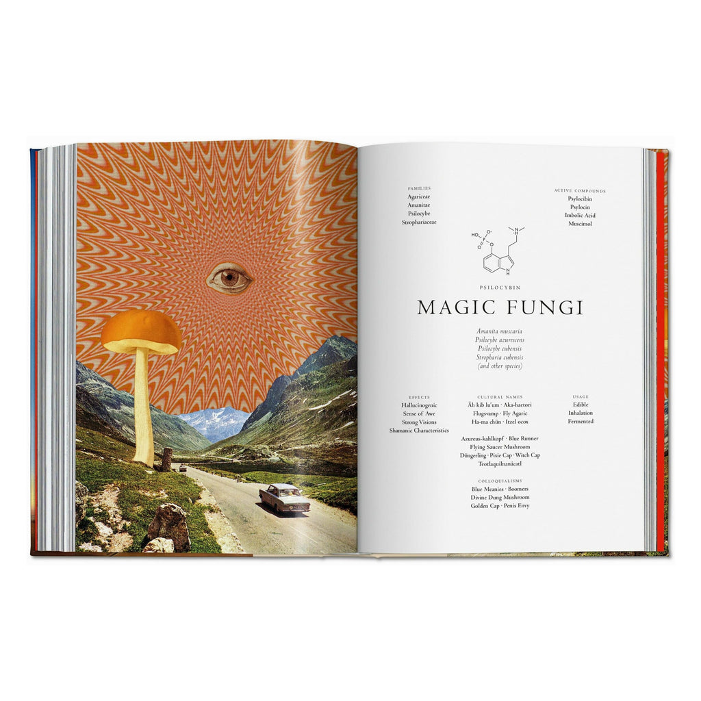 Plant Magick: The Library of Esoterica